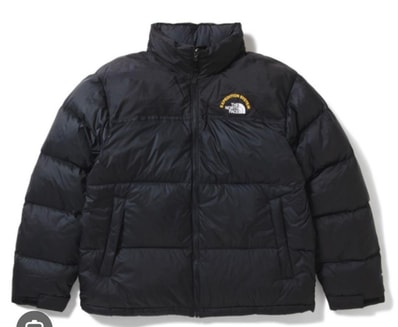 THE NORTH FACE ヌプシ ダウンジャケット ノースフェイス 1996 Retro Nuptse EXPEDITION SYSTEM