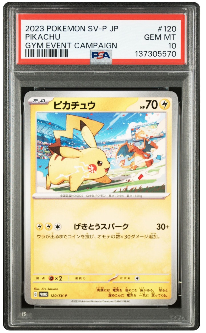 ピカチュウ: プロモ [SV-P 120](プロモーションカード「SV-P」)