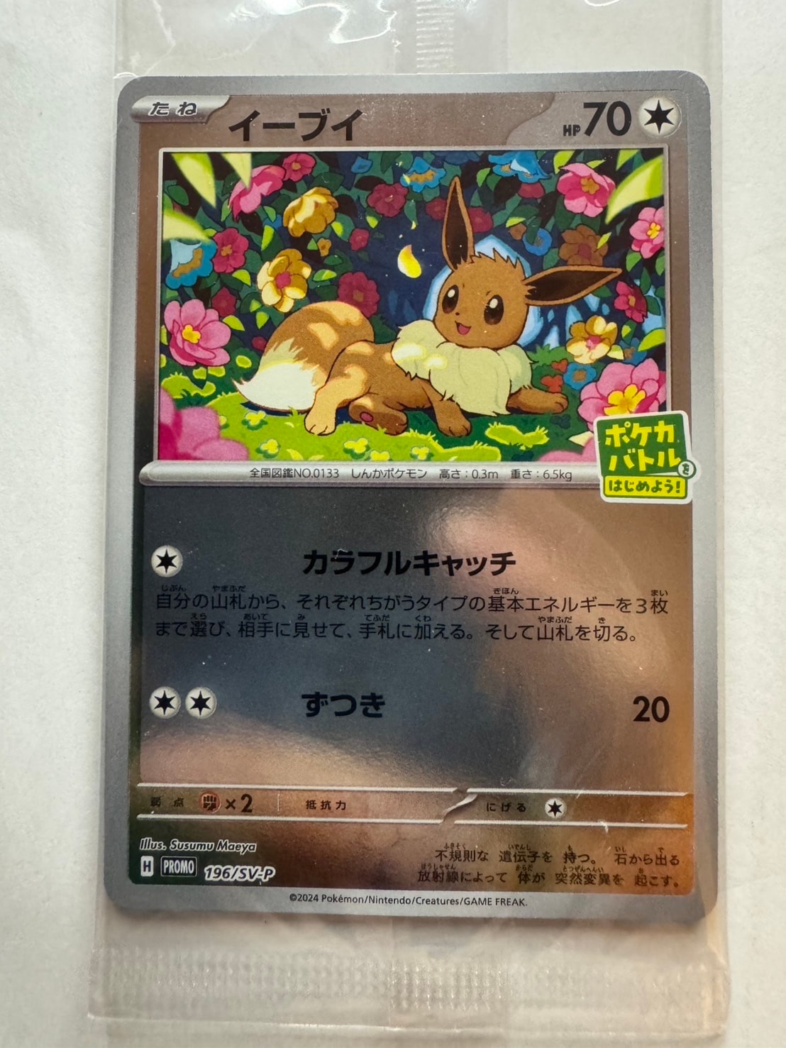 イーブイ P [SV-P-SM 196](プロモカードパック「ポケカバトルをはじめよう!キャンペーン」)