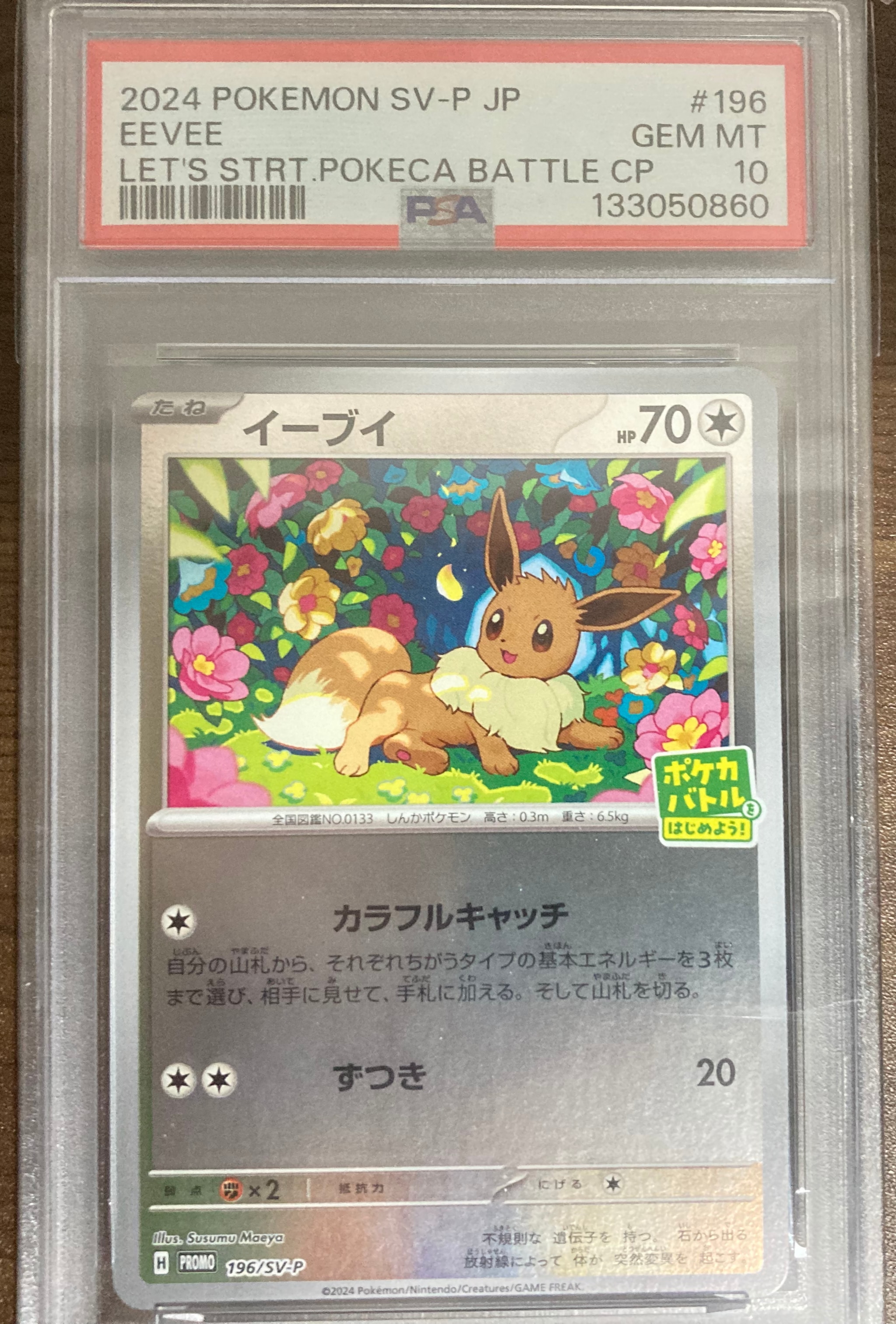 イーブイ P [SV-P-SM 196](プロモカードパック「ポケカバトルをはじめよう!キャンペーン」)