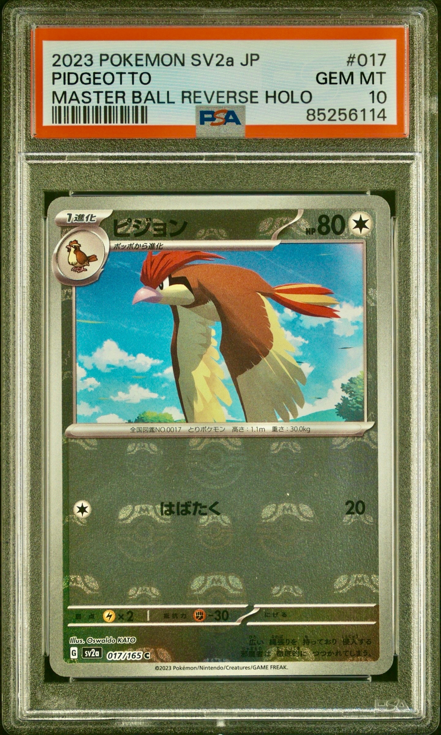 PSA10】ピジョン C: マスターボールミラー[SV2a 017/165](強化拡張