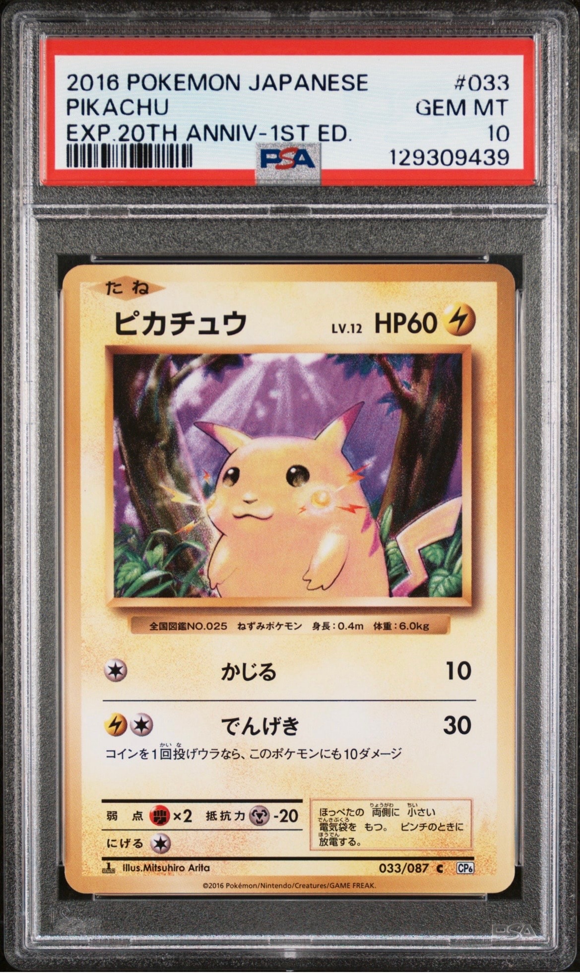 ピカチュウ C :1ED [CP6 033/087](コンセプトパック「ポケットモンスターカードゲーム 拡張パック 20th Anniversary」)