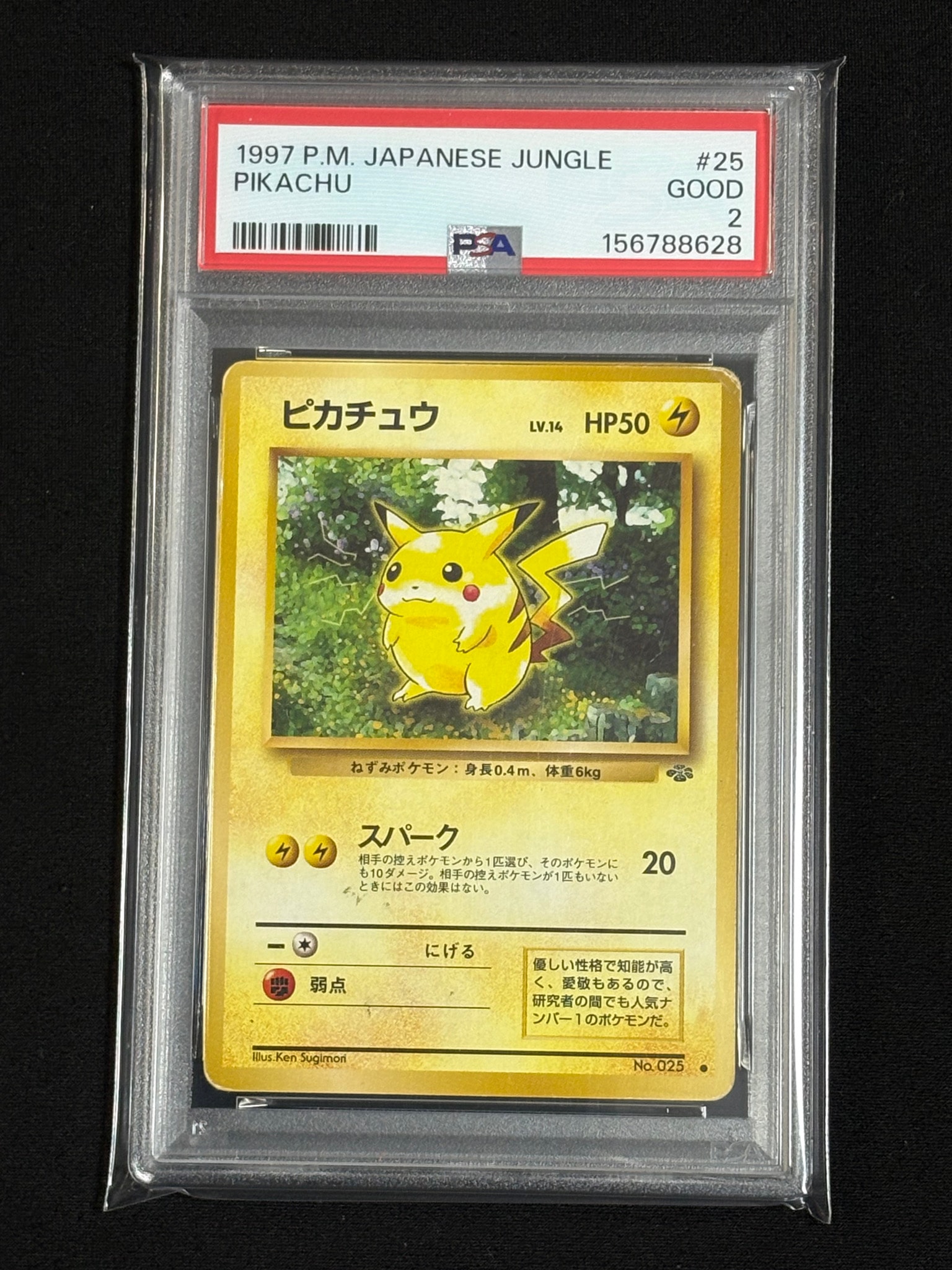 ピカチュウ ● : 旧裏 [PMCG2 No.025](拡張パック「ポケモンジャングル」)