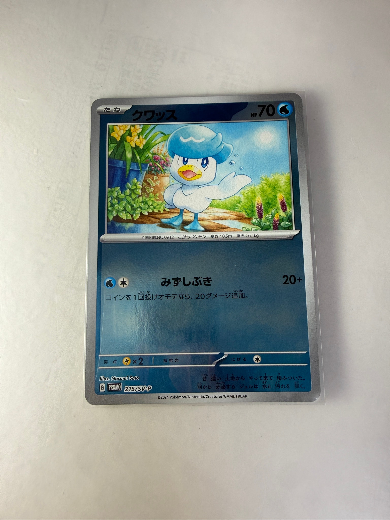 クワッス P [SV-P 215](プロモカードパック「ポケカの夏がキタ！プロモ