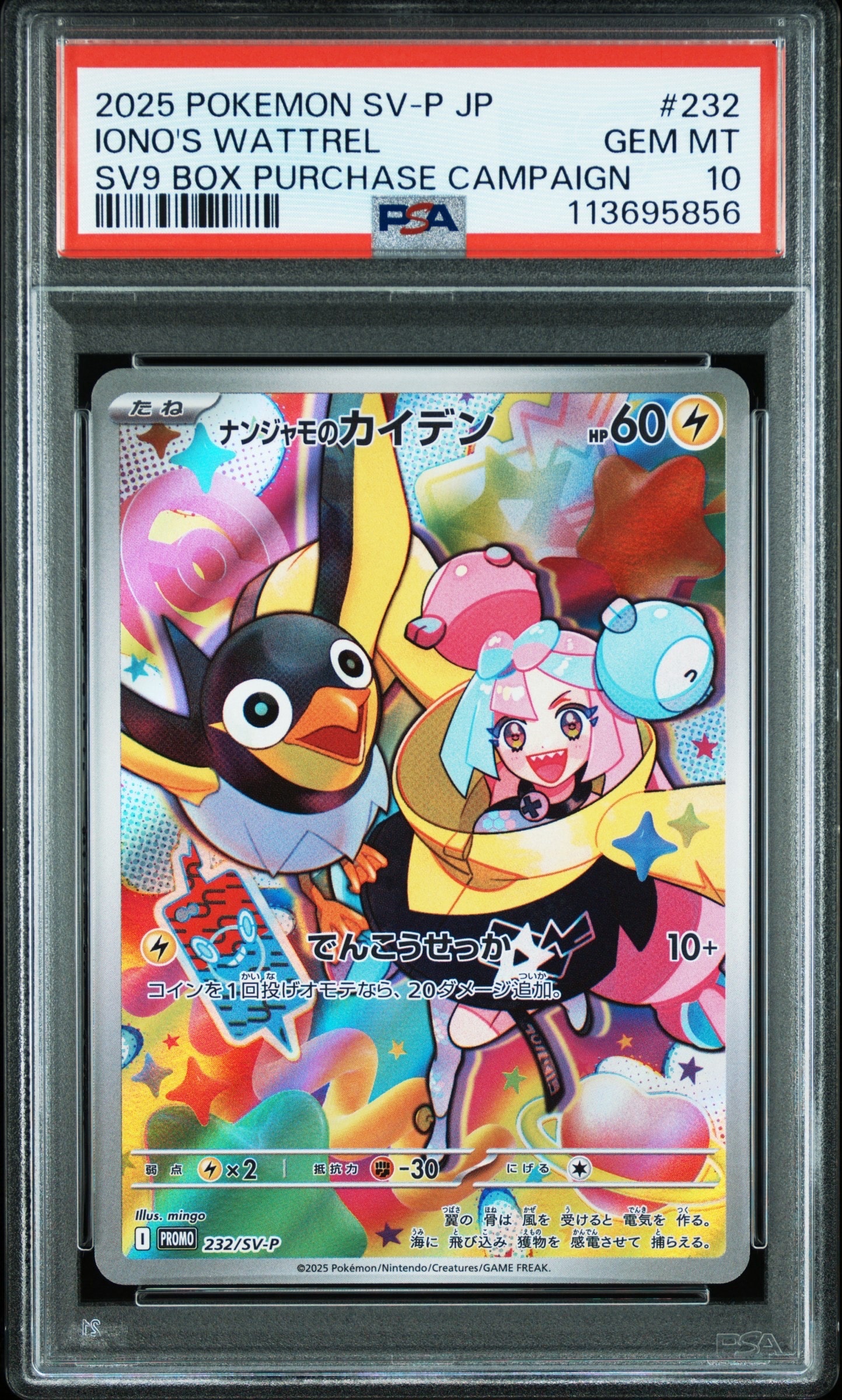 ナンジャモのカイデン P [SV-P 232](プロモーションカード「拡張パック バトルパートナーズ Box購入キャンペーン」)