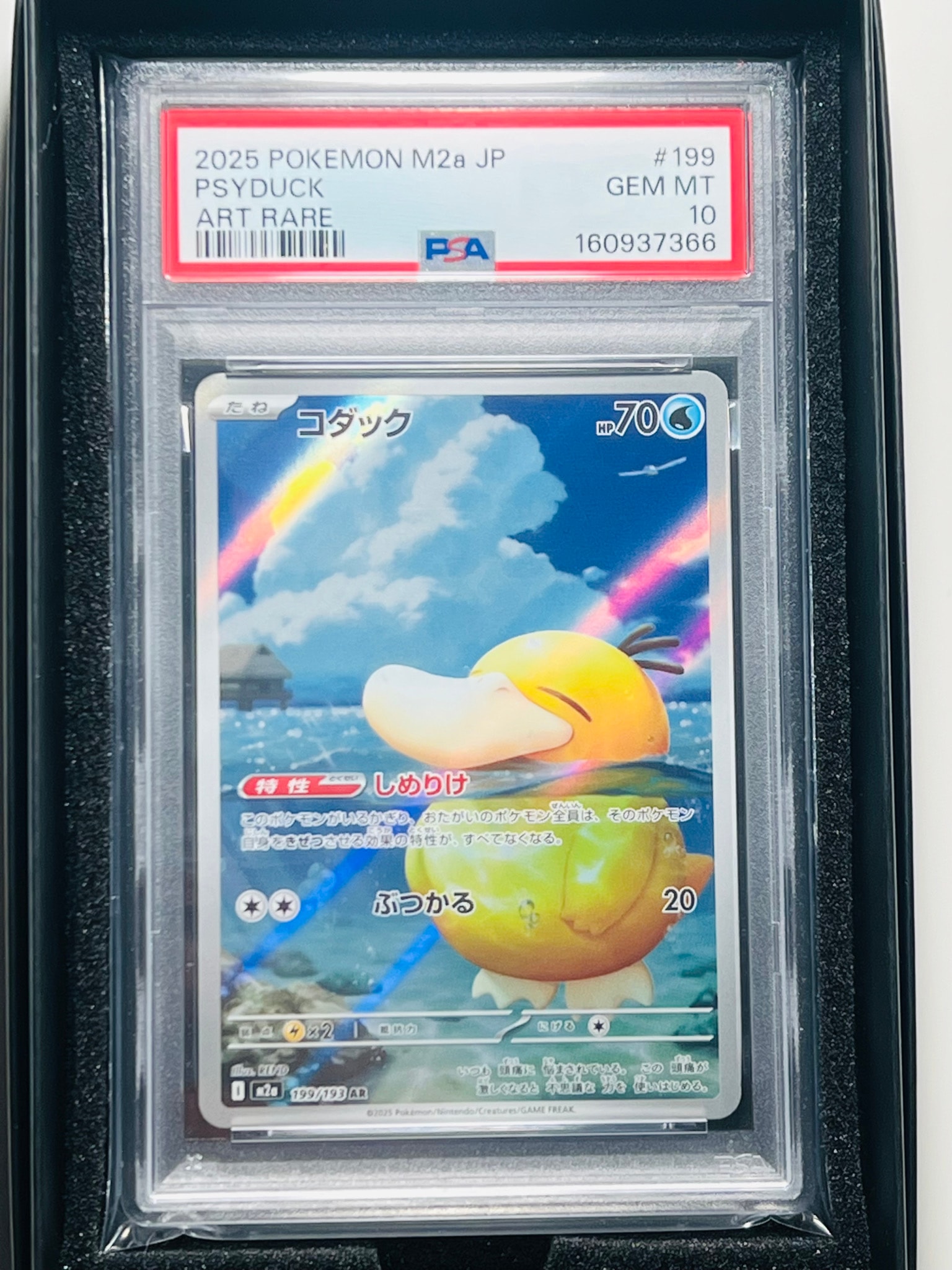 コダック AR [M2a 199/193](ハイクラスパック「MEGAドリームex」)