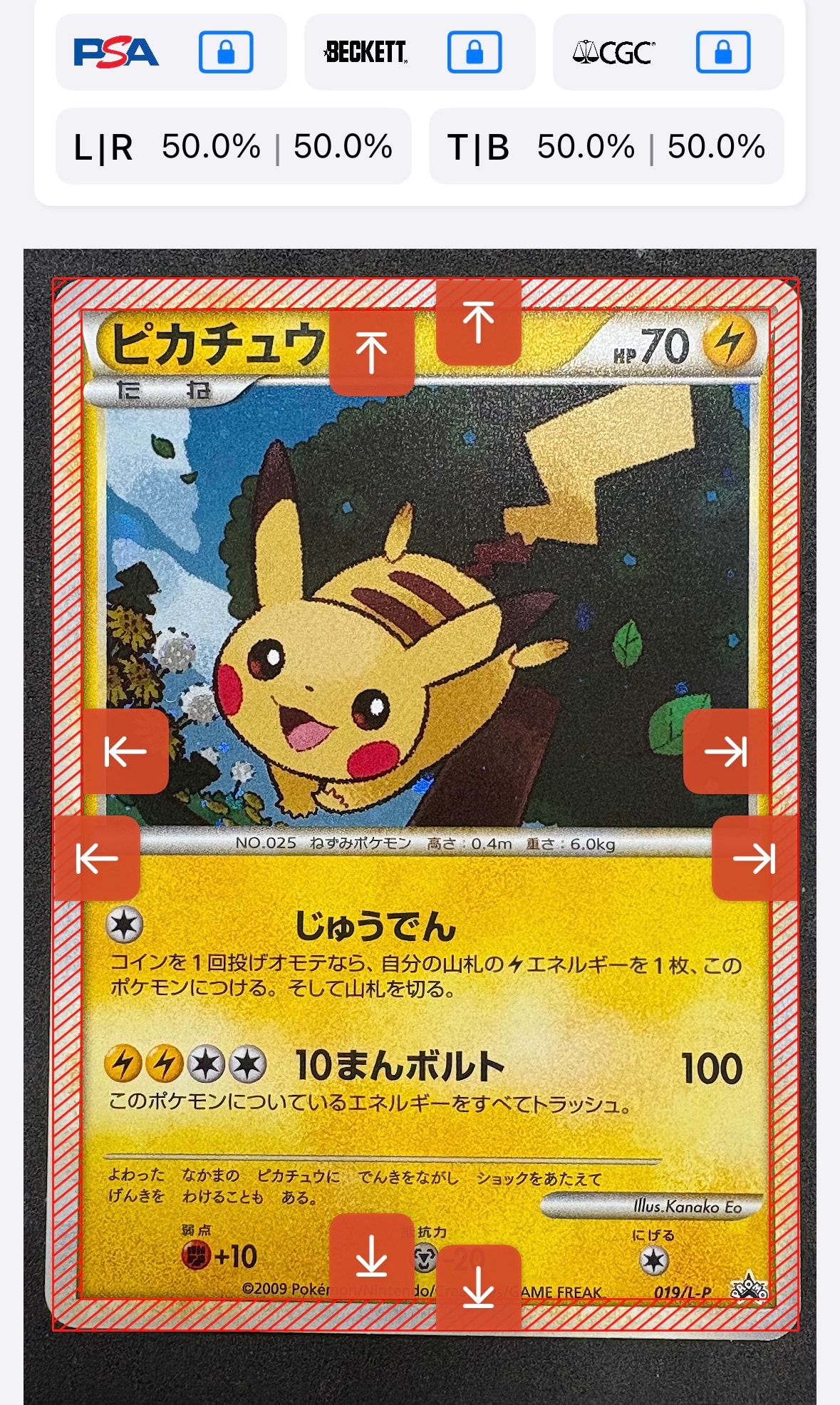 ピカチュウ: プロモ[L-P 019/L-P](プロモーションカード「L-P」)の新品
