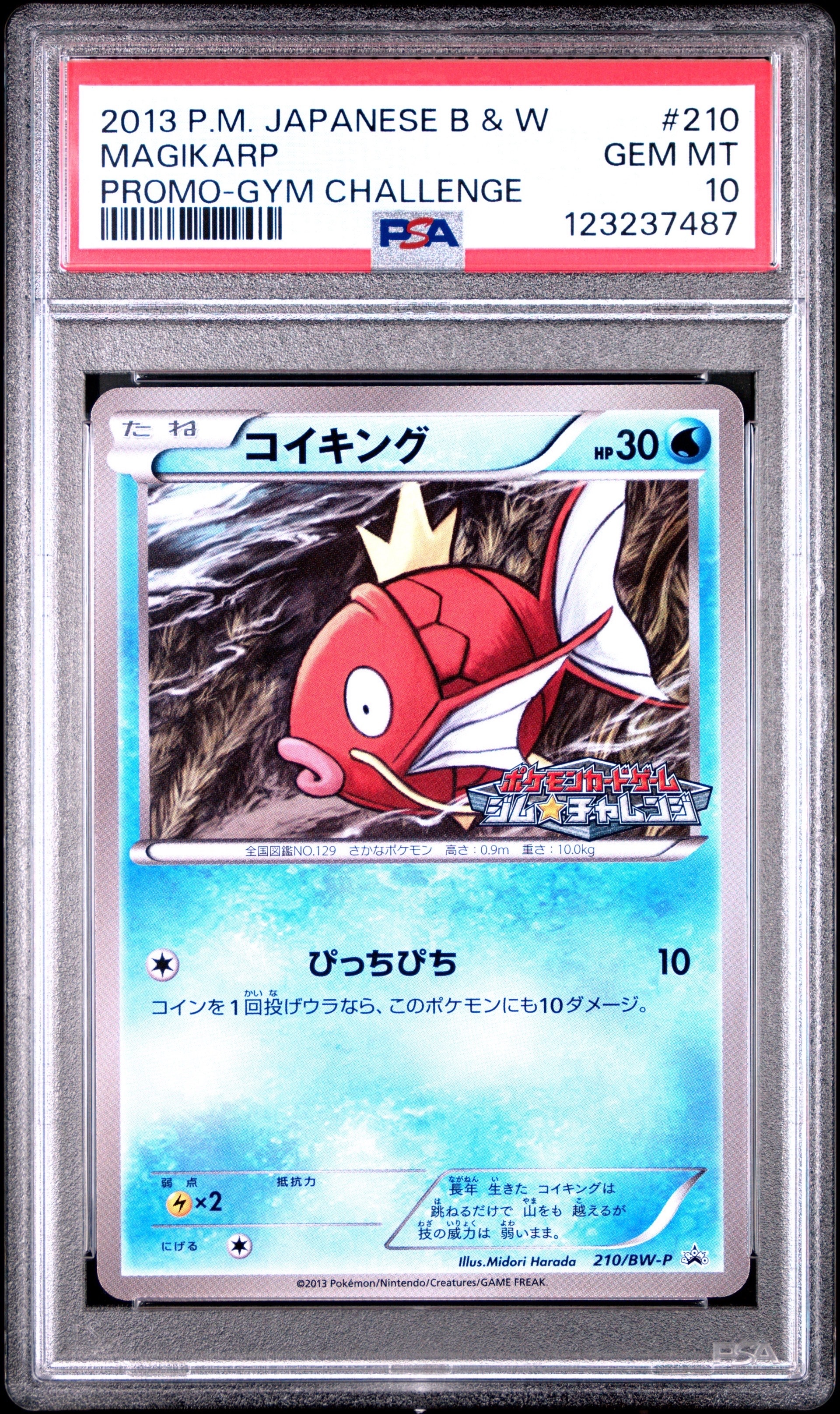コイキング P [BW-P 210/BW-P](プロモーションカードパック「ジム☆チャレンジ 2013年4月」)