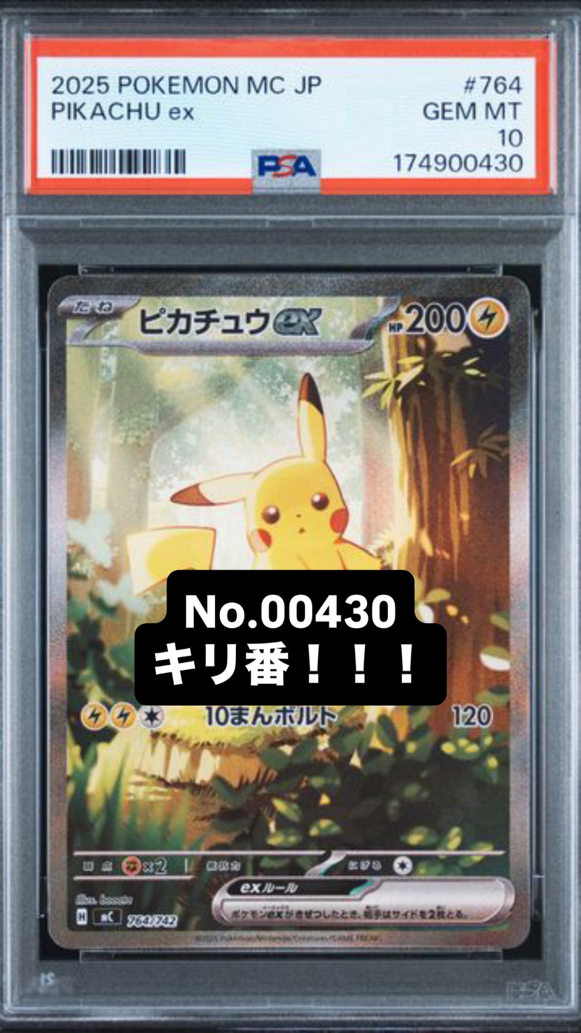 ピカチュウex SAR仕様 [MC 764/742](スタートデッキ100「バトル