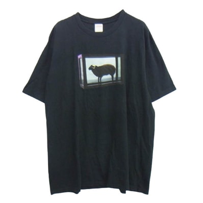 Supreme シュプリーム Tシャツ 25SS Damien Hirst Tee ダミアン・ハースト プリント Tシャツ 半袖カットソー【中古】