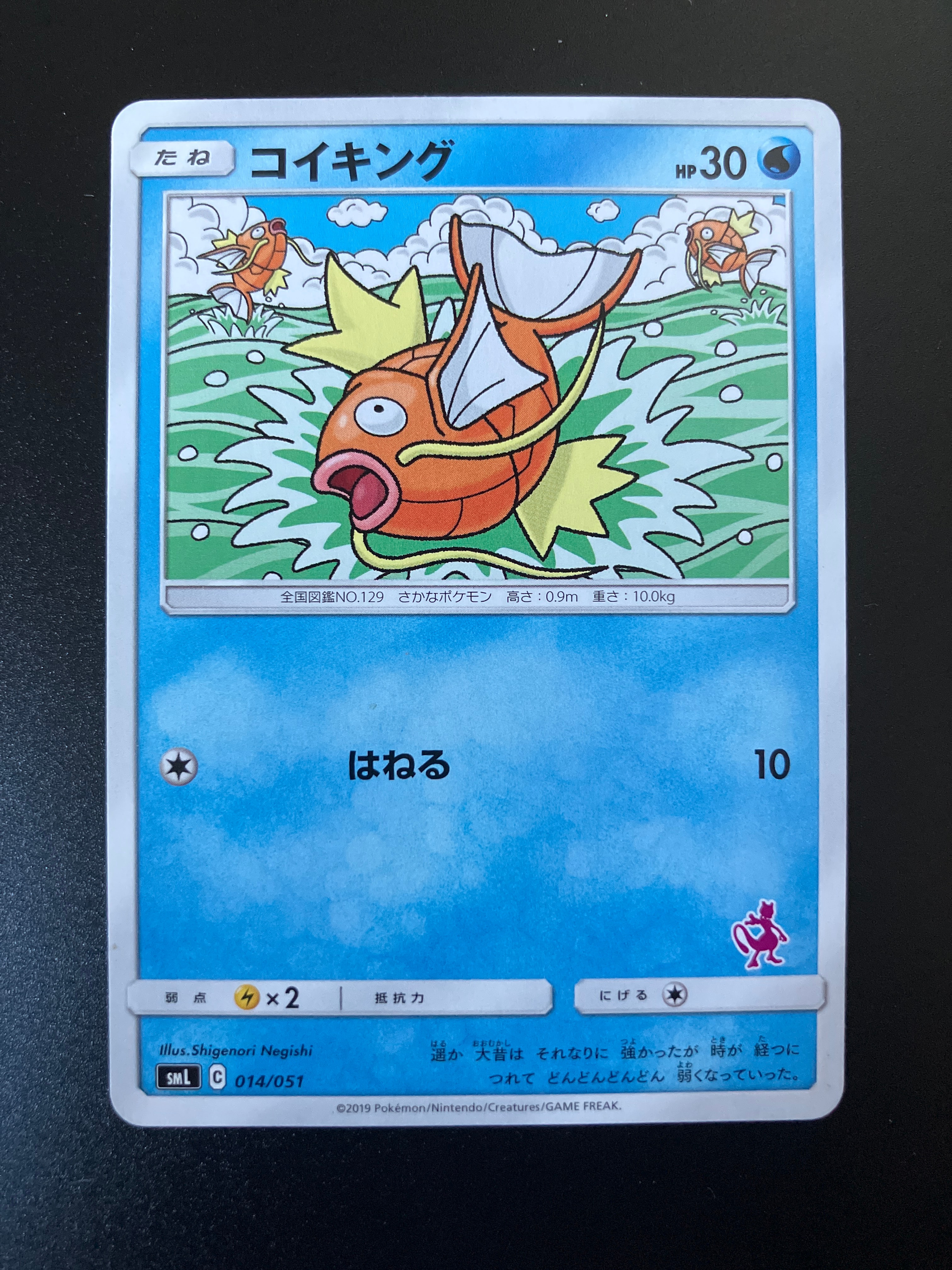 【PSA10】ラッキー SML サン＆ムーン ファミリーポケモンカードゲーム 0 Pikachu - smL: Sun & Moon Family Pokemon Card Game - Pokemon Japan