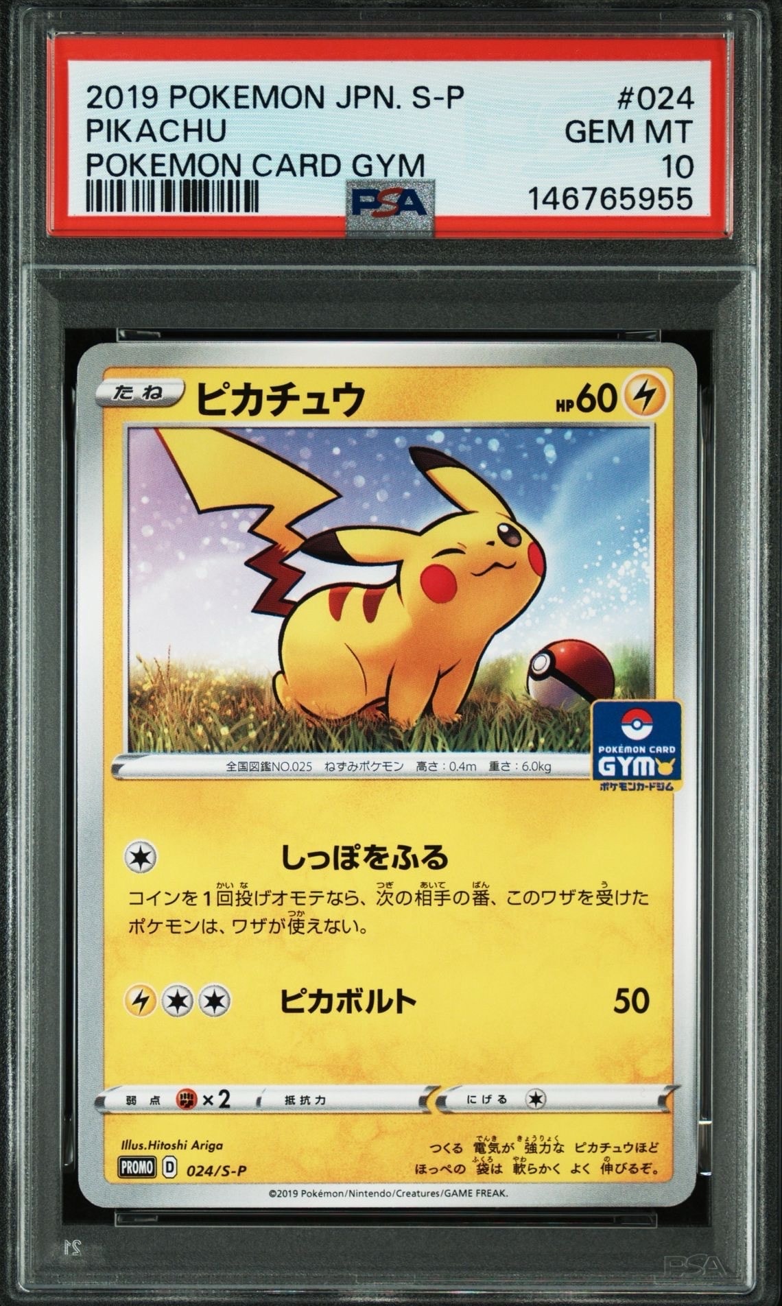 ピカチュウ: プロモ P [S-P 024](ポケモンカードゲーム ソード