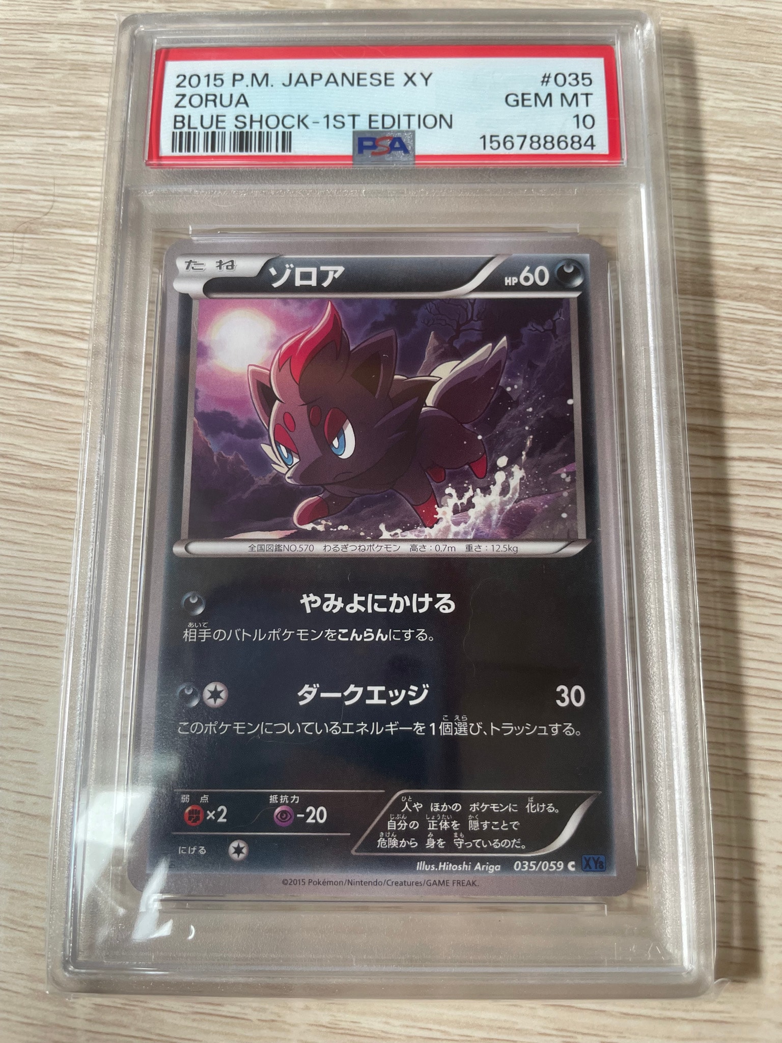 ゾロア C :1ED [XY8 035/059](拡張パック「青い衝撃」)