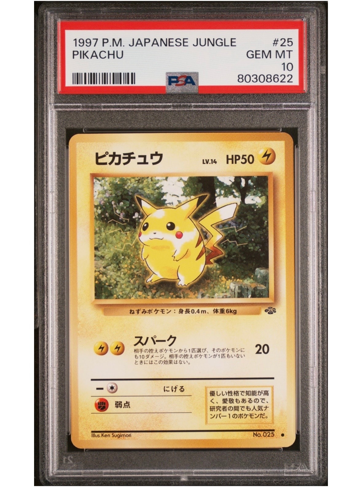 ピカチュウ ● : 旧裏 [PMCG2 No.025](拡張パック「ポケモンジャングル」)