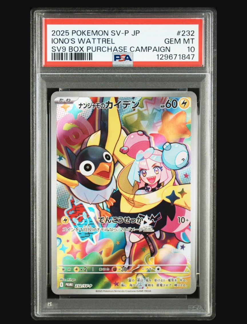 ナンジャモのカイデン P [SV-P 232](プロモーションカード「拡張パック バトルパートナーズ Box購入キャンペーン」)