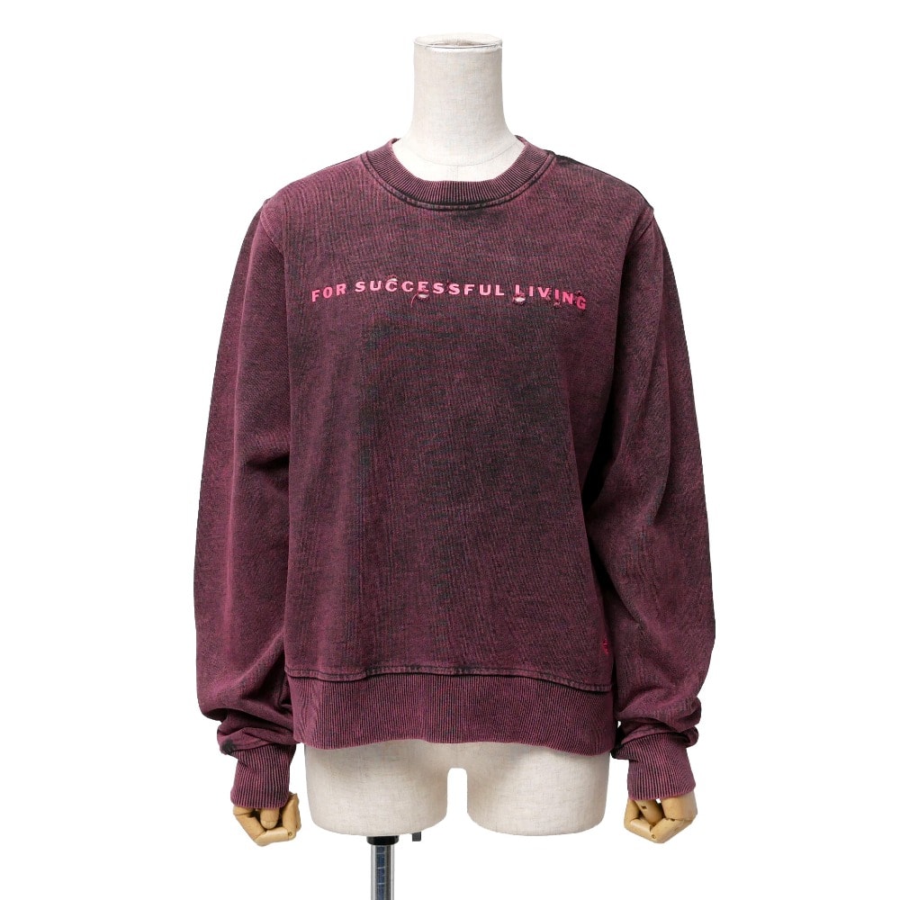 ■美品■DIESEL ディーゼル F-REGGY-E1 スウェット サイズM ダメージ加工 ウォッシュド クルーネック ブランド古着【中古】20260212/RA7764