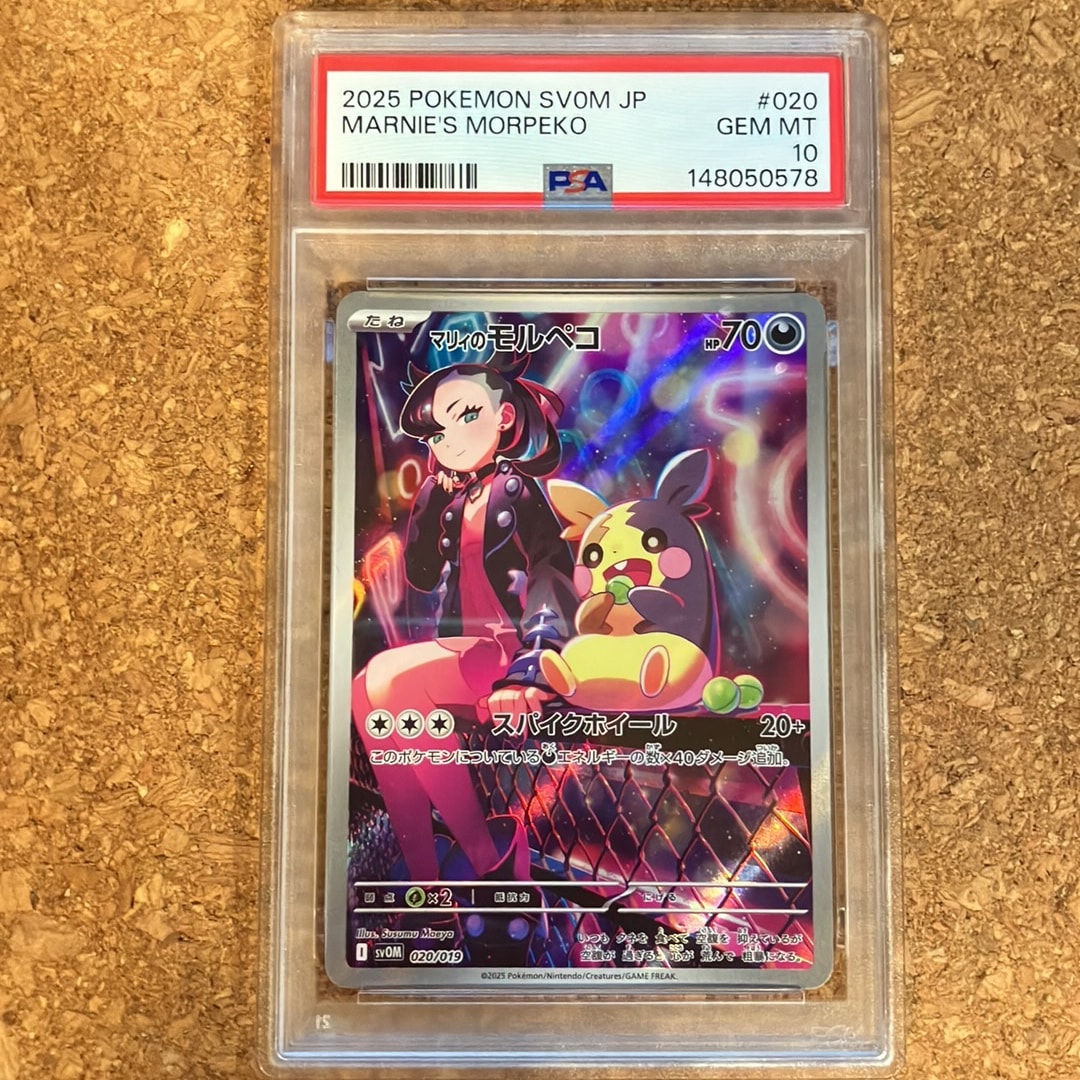 ⭐️ 【PSA10】 マリィのモルペコ SVOM スターターセットex マリィのモルペコ [SVOM 020/019](スターターセットex「マリィの