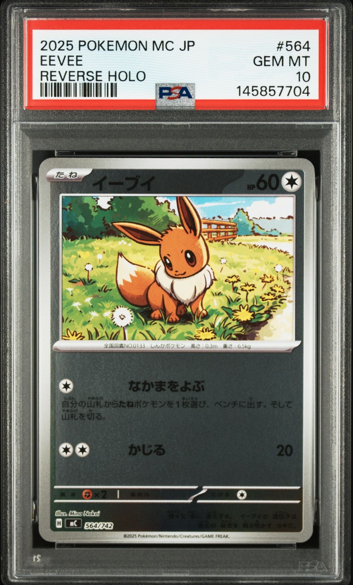 PSA10】イーブイ :ミラー [MC 564/742](スタートデッキ100「バトル