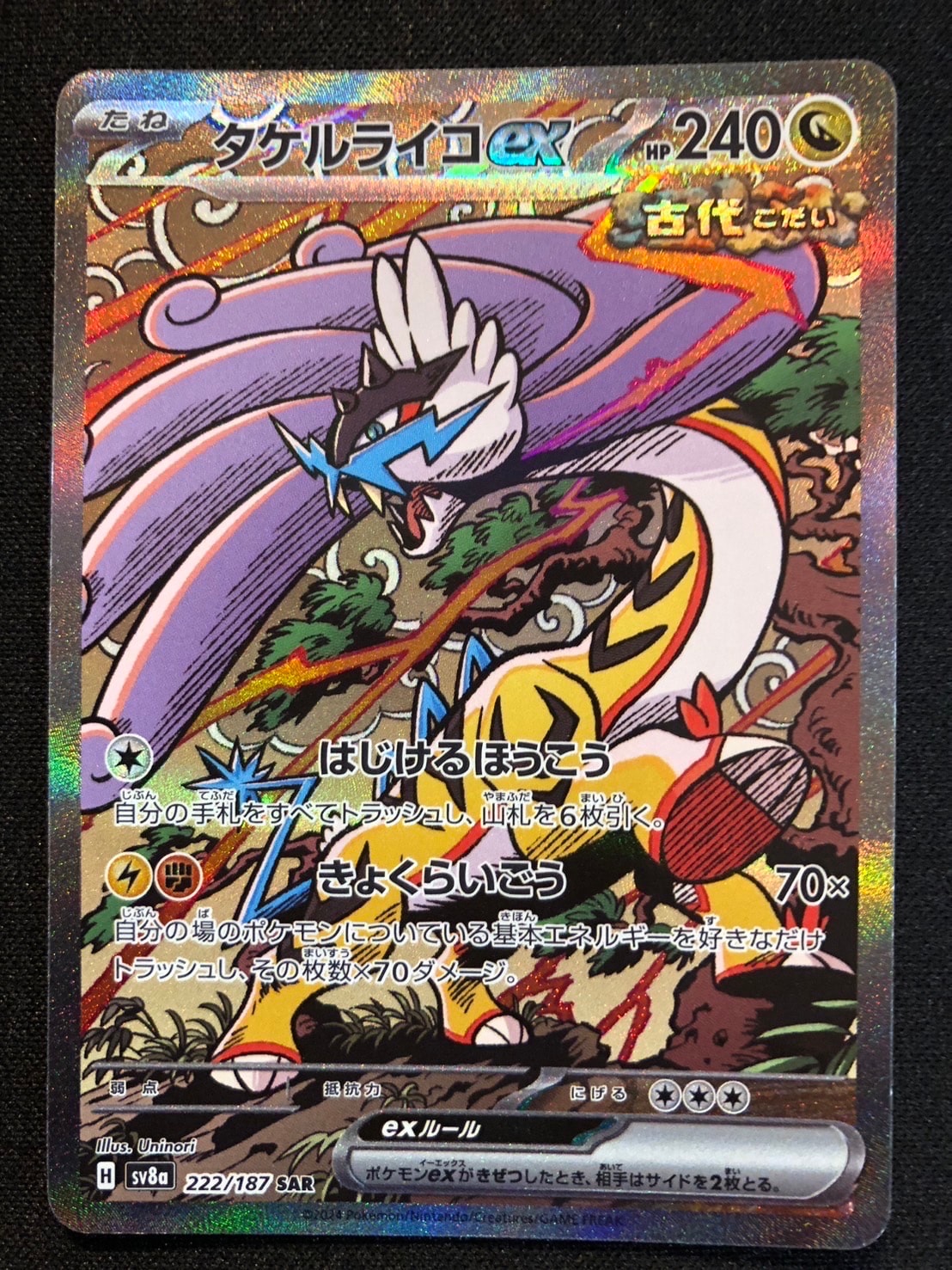 タケルライコex SAR [SV8a 222/187](ハイクラスパック「テラスタルフェスex」)