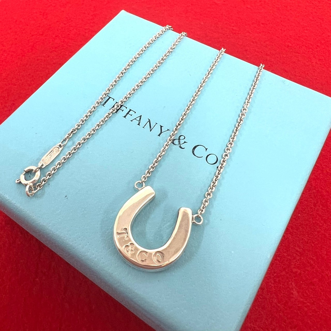 TIFFANY&Co. ティファニー ホースシュー ネックレス シルバー925 ネックレス シルバー
 17317