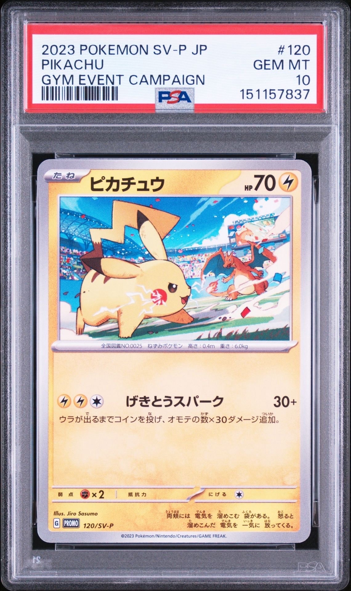 ピカチュウ: プロモ [SV-P 120](プロモーションカード「SV-P」)の新品