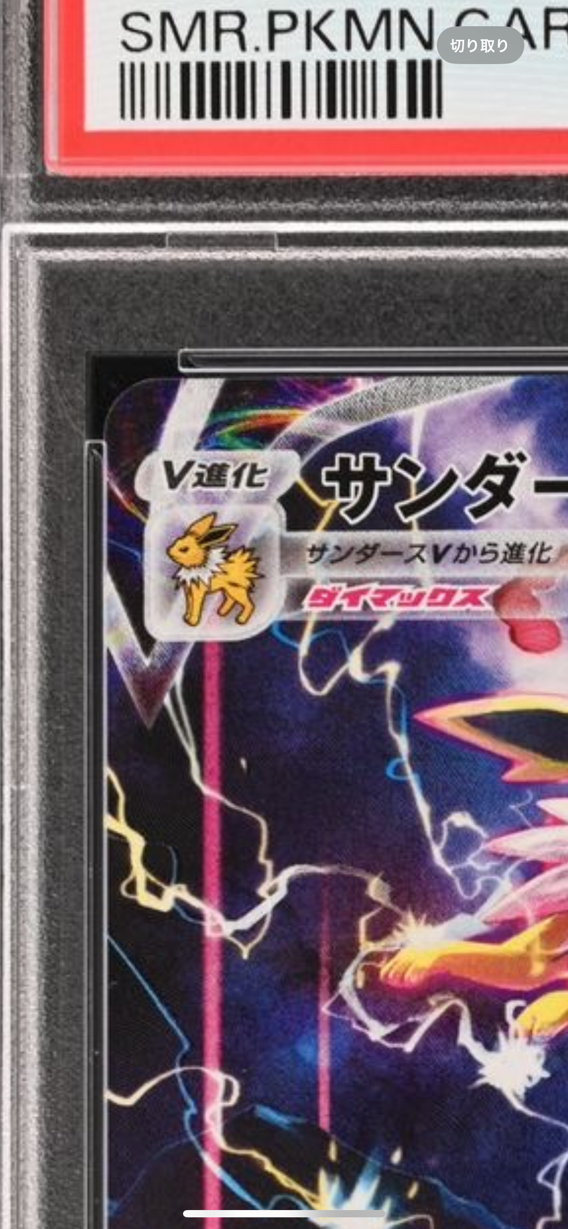 サンダースVMAX 夏ポケカ: プロモ[S-P 188](プロモーション