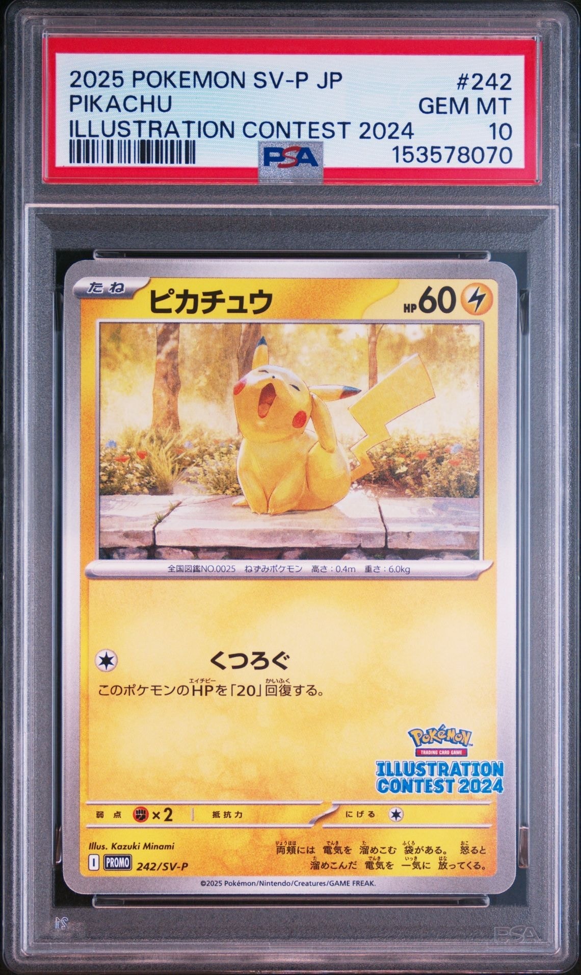 ピカチュウ [SV-P 242](プロモカードパック「イラストレーション