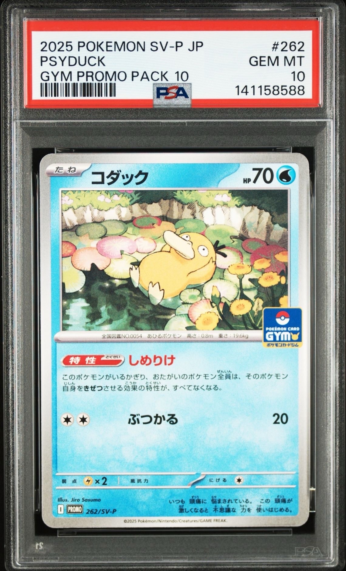 コダック P [SV-P 262](プロモカードパック「第10弾」)