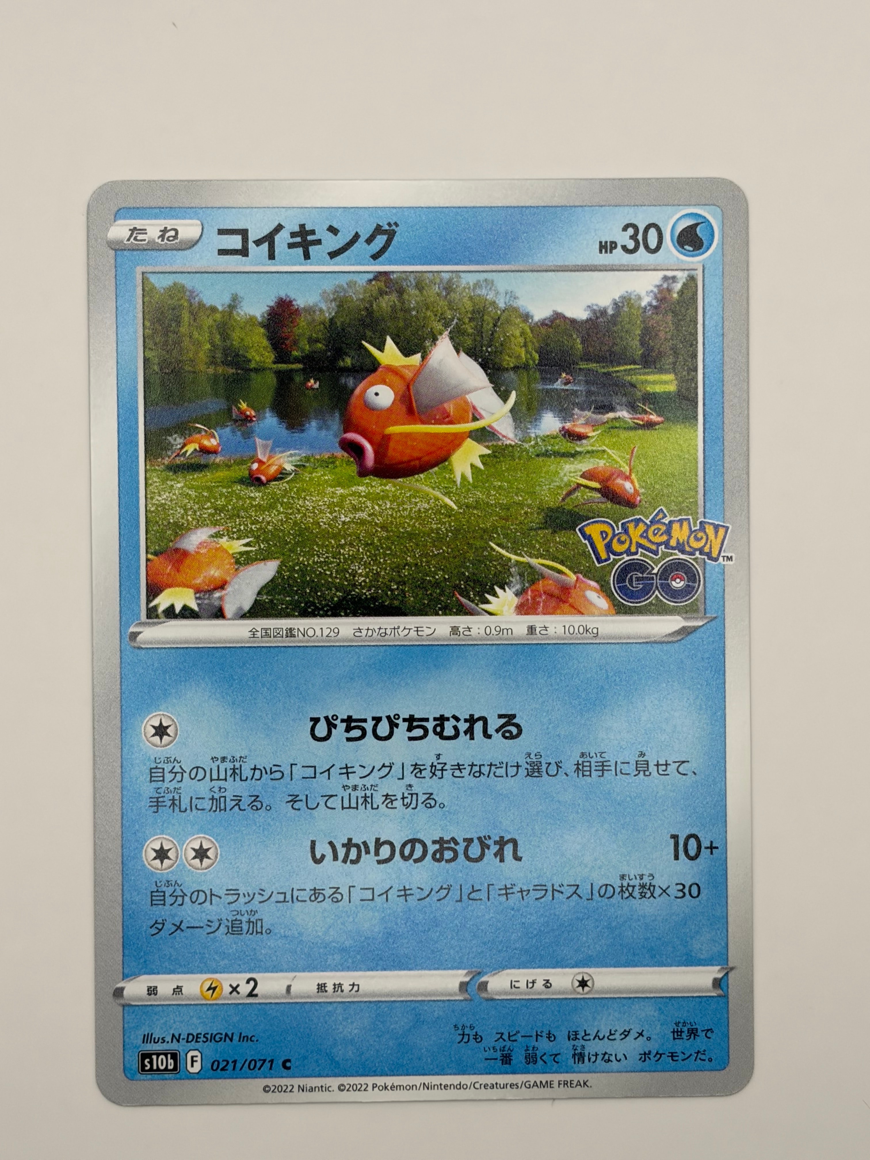 PSA10】オーダイル [SV-P 241](プロモカードパック