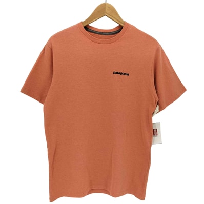 21SS P-6ロゴ レスポンシビリティー Tシャツ【1143886866304】