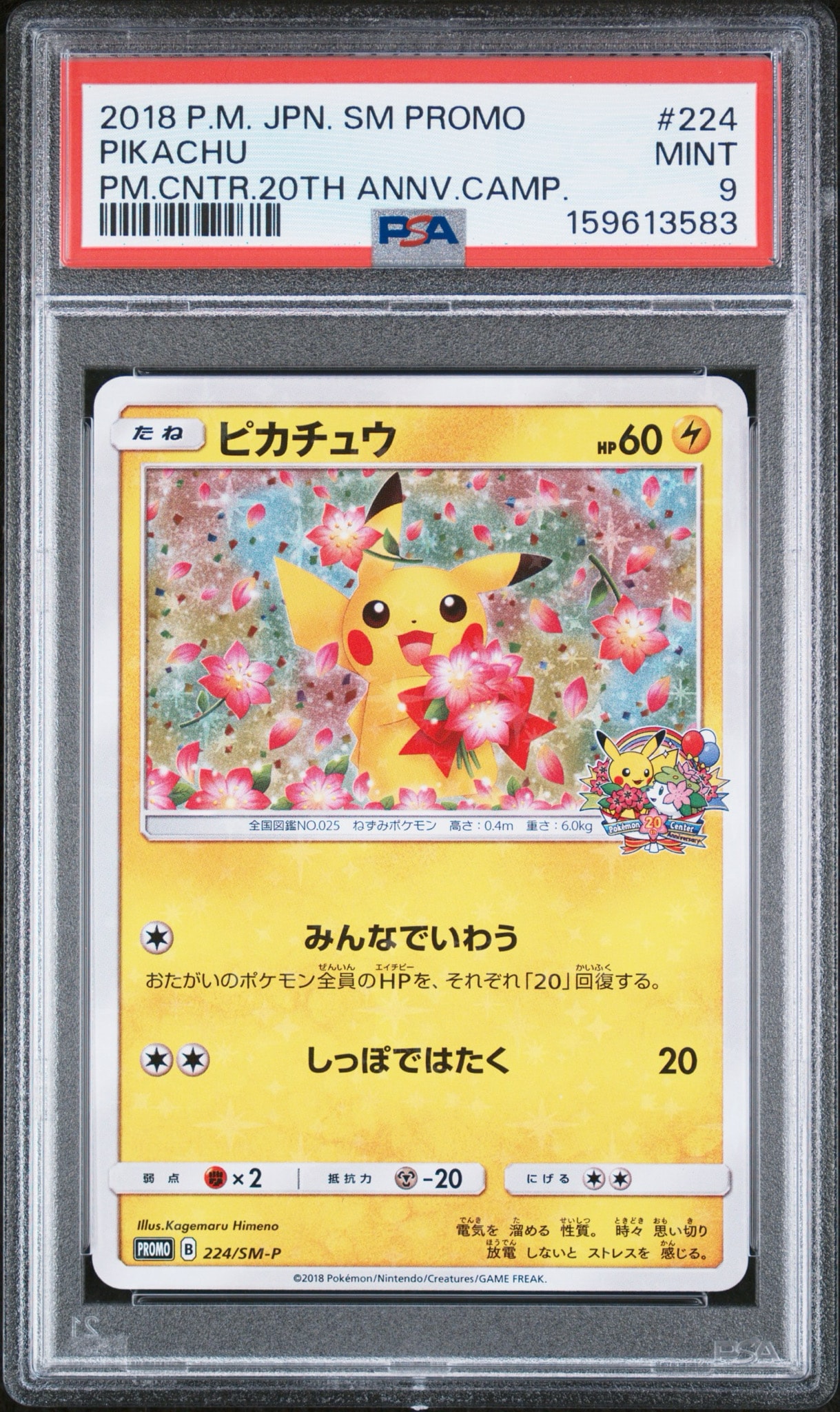 ピカチュウ 224/SM-P ピカチュウ: プロモ[SM-P 224](プロモーションカード「SM-P」)通販
