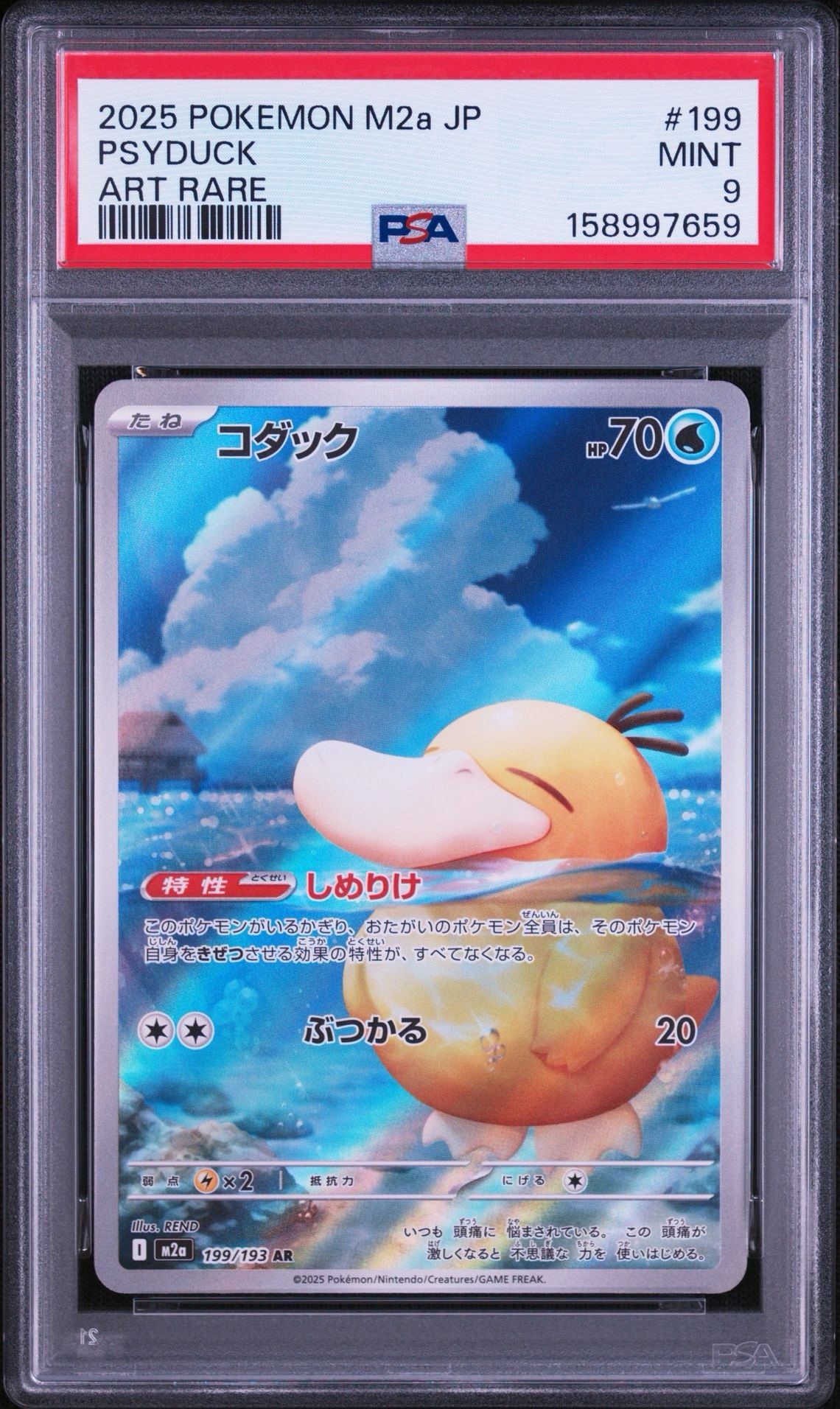 コダック AR [M2a 199/193](ハイクラスパック「MEGAドリームex」)通販