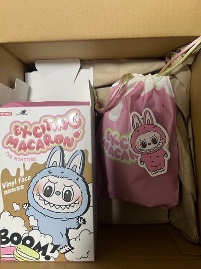 POP MART THE MONSTERS (LABUBU) Exciting Macaron Plush Series LYCHEE BERRY
