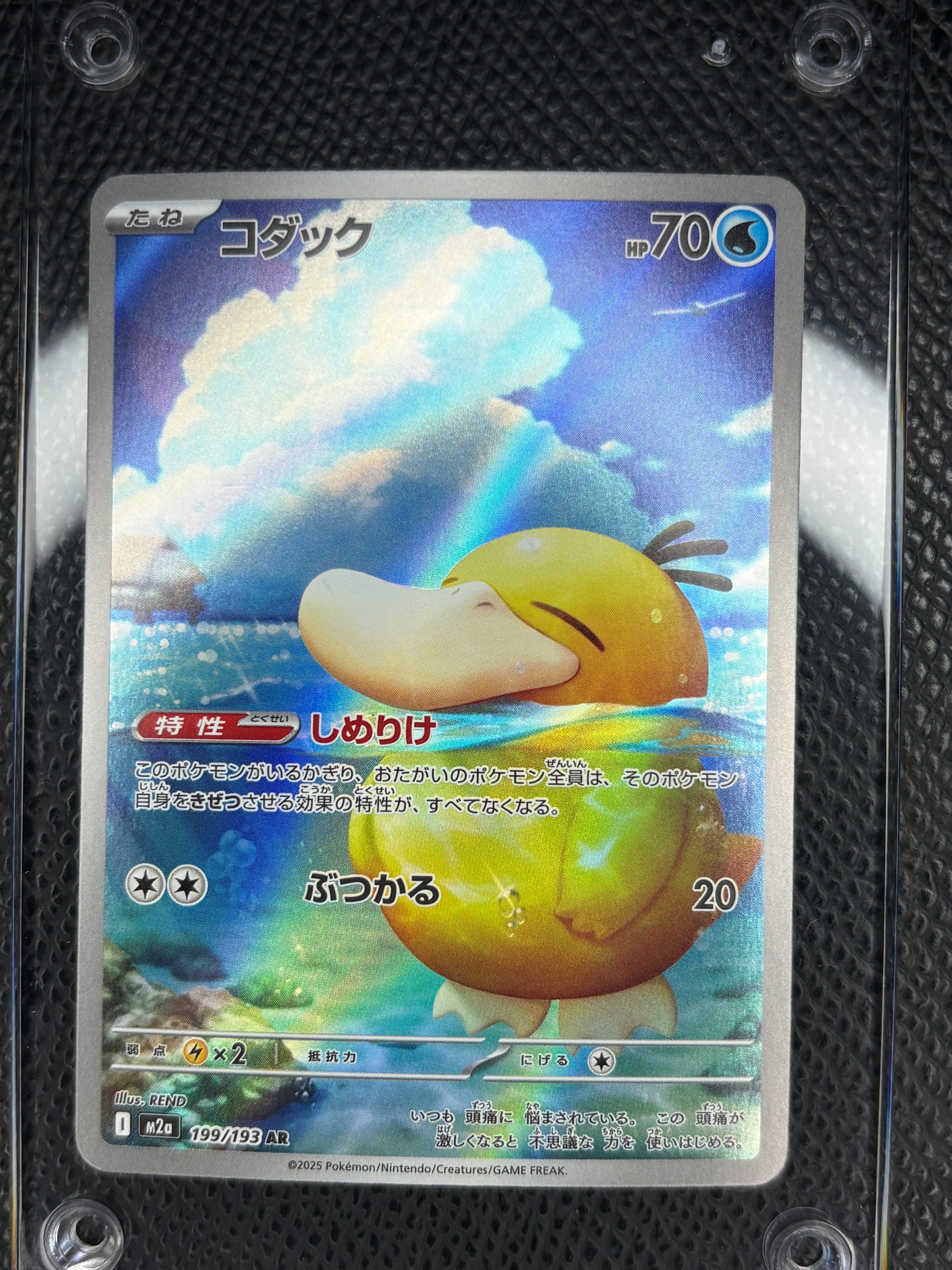 コダック AR [M2a 199/193](ハイクラスパック「MEGAドリームex」)