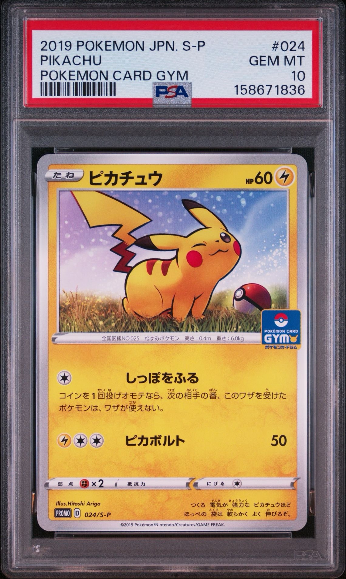 PSA10】ピカチュウ: プロモ P [S-P 024](ポケモンカードゲーム ソード
