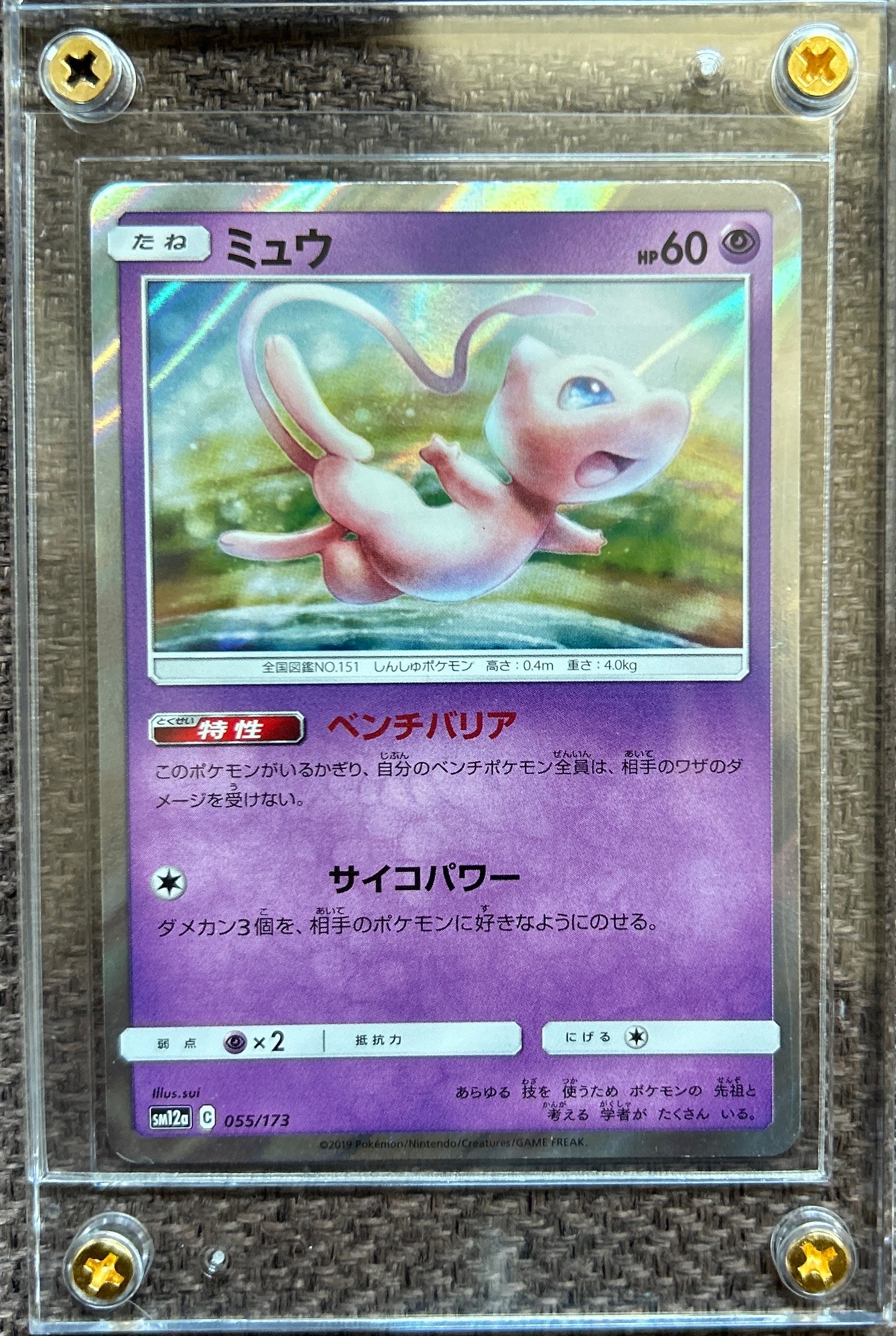 ブルーの探索 SR SM12a TAG TEAM GXタッグオールスターズ ブルーの探索 SR[SM12a 196/173](ハイクラスパック「TAG TEAM GX