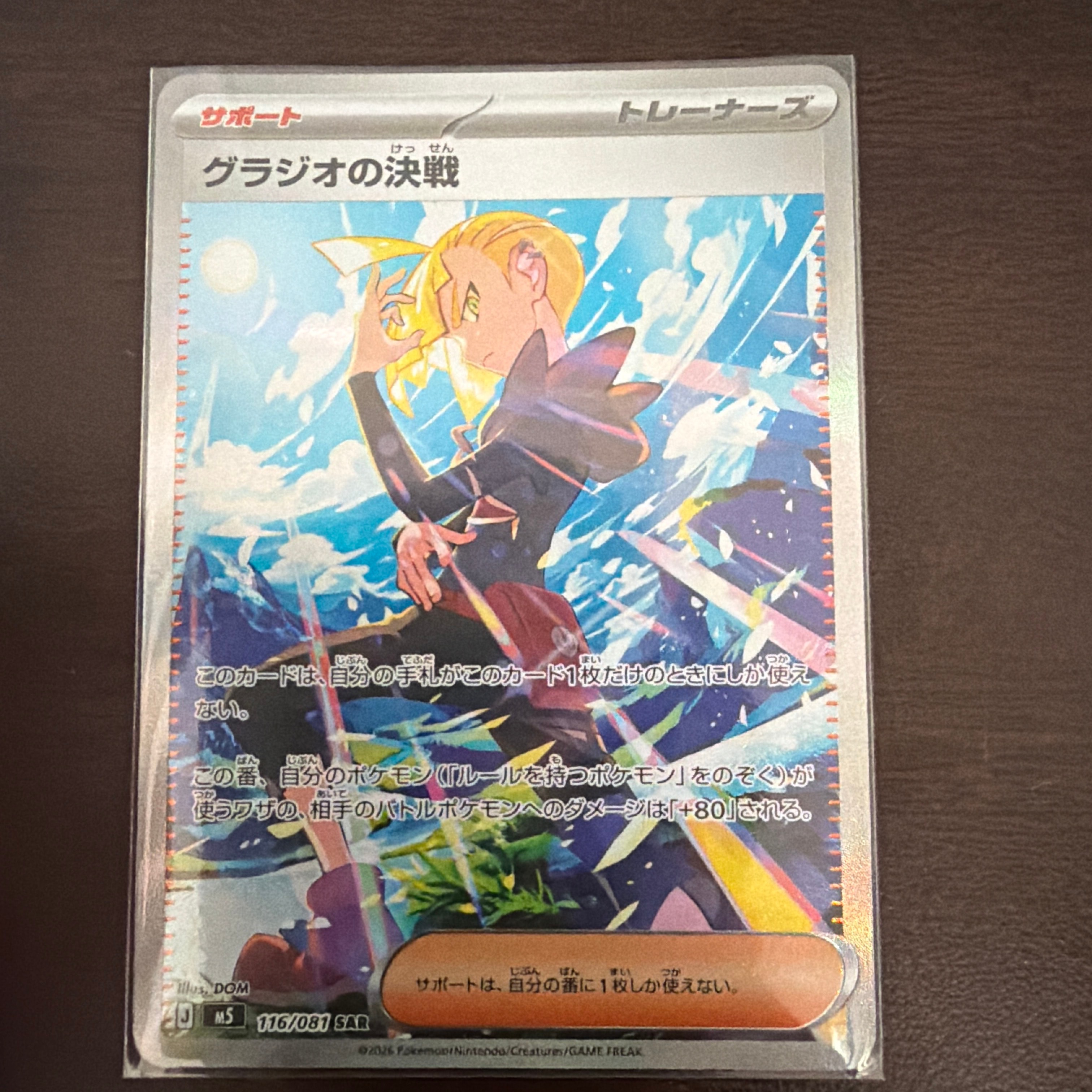 レックウザ [PCG 009/009](ポケパークプレミアムファイル「ブルー