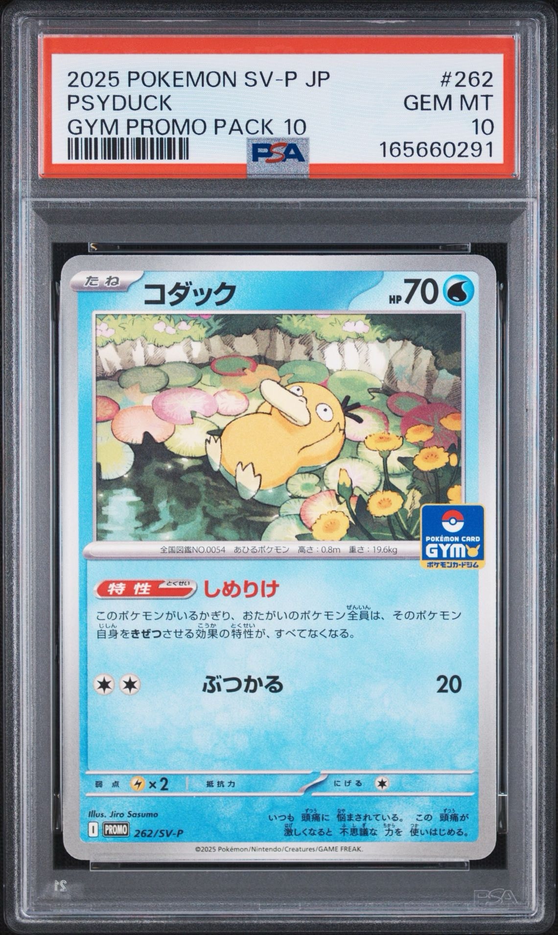コダック P [SV-P 262](プロモカードパック「第10弾」)通販・買取
