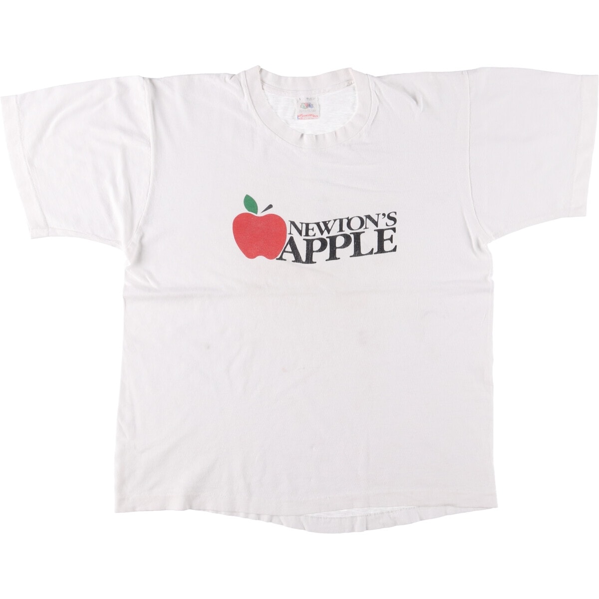 古着 80年代 フルーツオブザルーム FRUIT OF THE LOOM NEWTON'S APPLE プリントTシャツ USA製 メンズL相当 ヴィンテージ/eaa566822