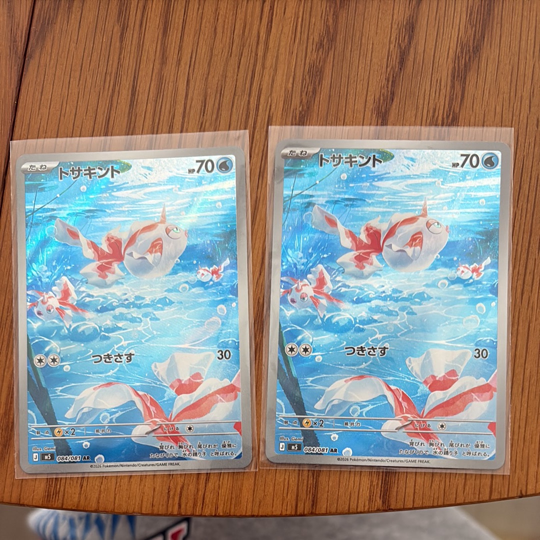 2枚セット PSA10 わるいギャラドス s8a-P 005/025 プロモカー PSA10 2連番 ポケモンカード 25周年 わるいギャラドス 25th プロモ