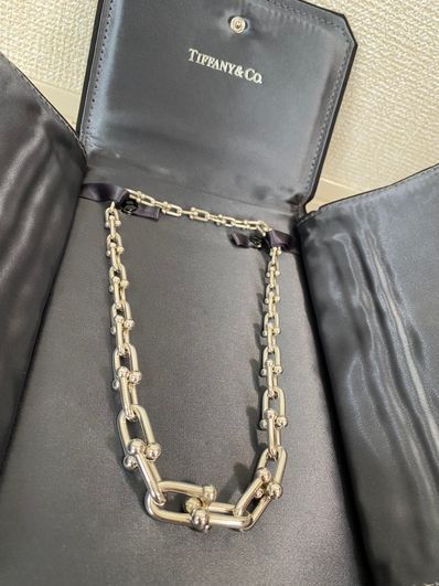 Tiffany & Co. HardWear Graduated Link Necklace "Silver"