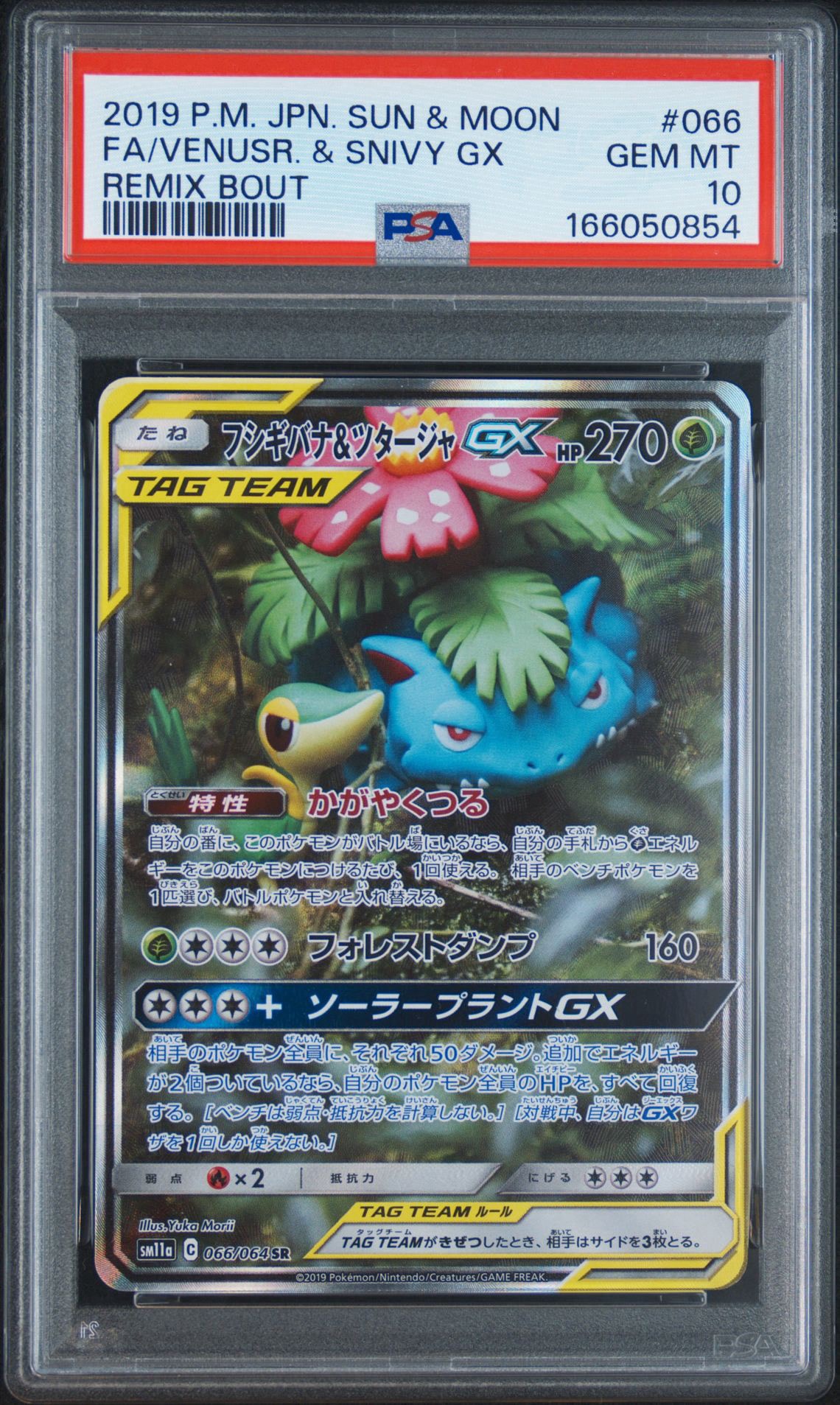 フシギバナ&ツタージャGX SR: SA[SM11a 066/064](強化拡張パック