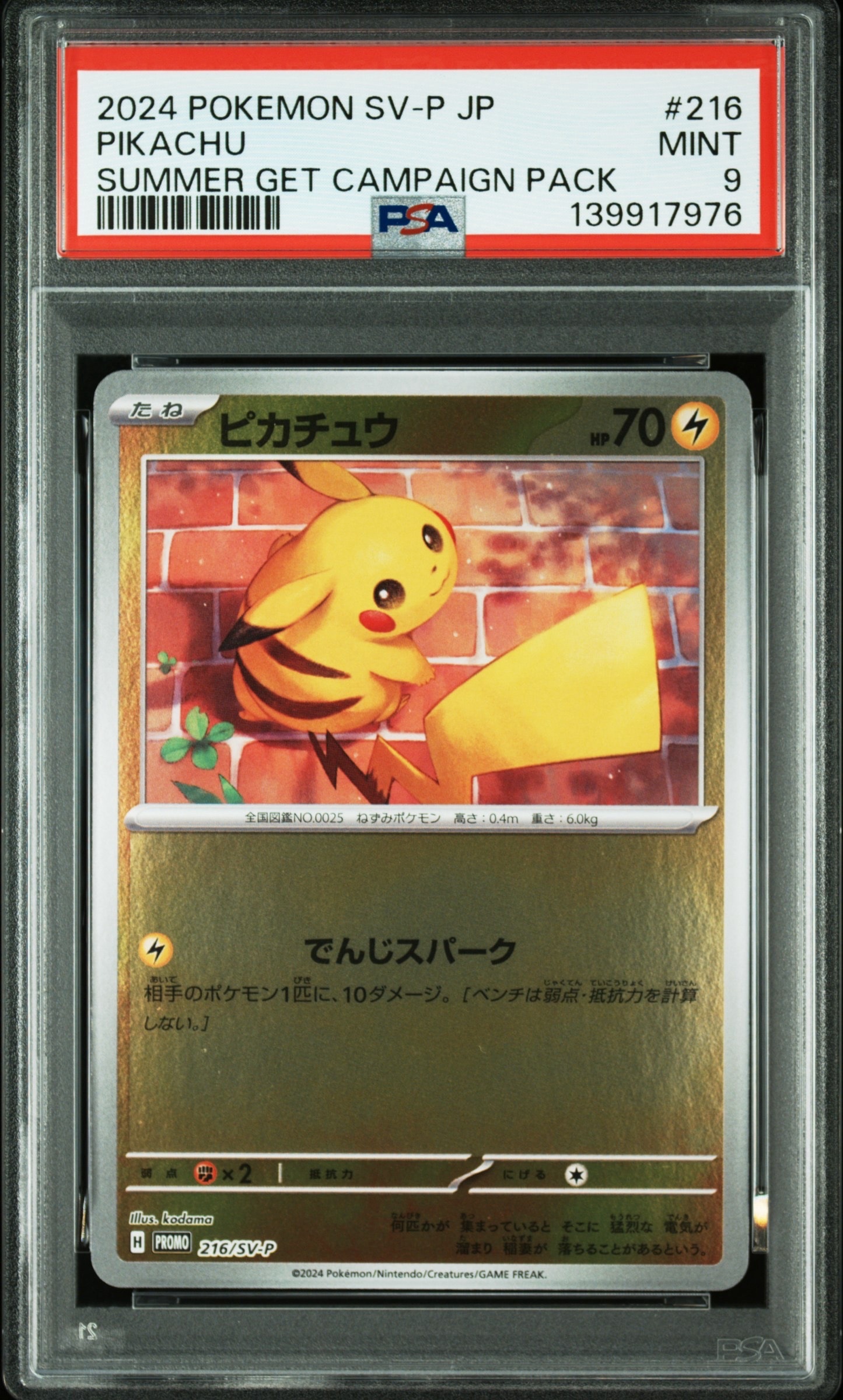 ピカチュウ P [SV-P 216](プロモカードパック「ポケカの夏がキタ!プロモカードGetキャンペーン!」)