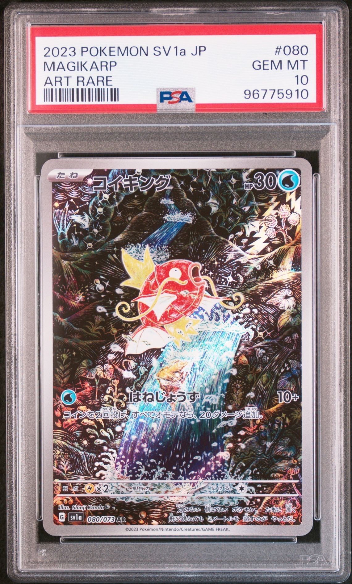 コイキング AR[SV1a 080/073](スカーレット&バイオレット 拡張パック「トリプレットビート」)