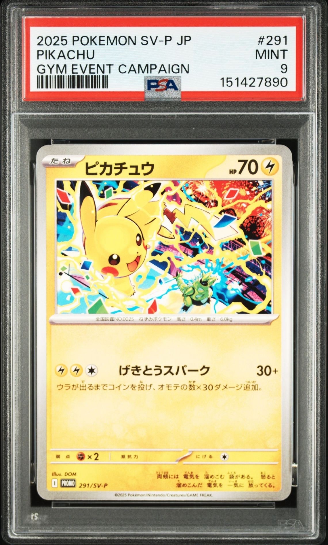 センパイとコウハイ SR :1ED [XY5-G 077/070](拡張パック「ガイア