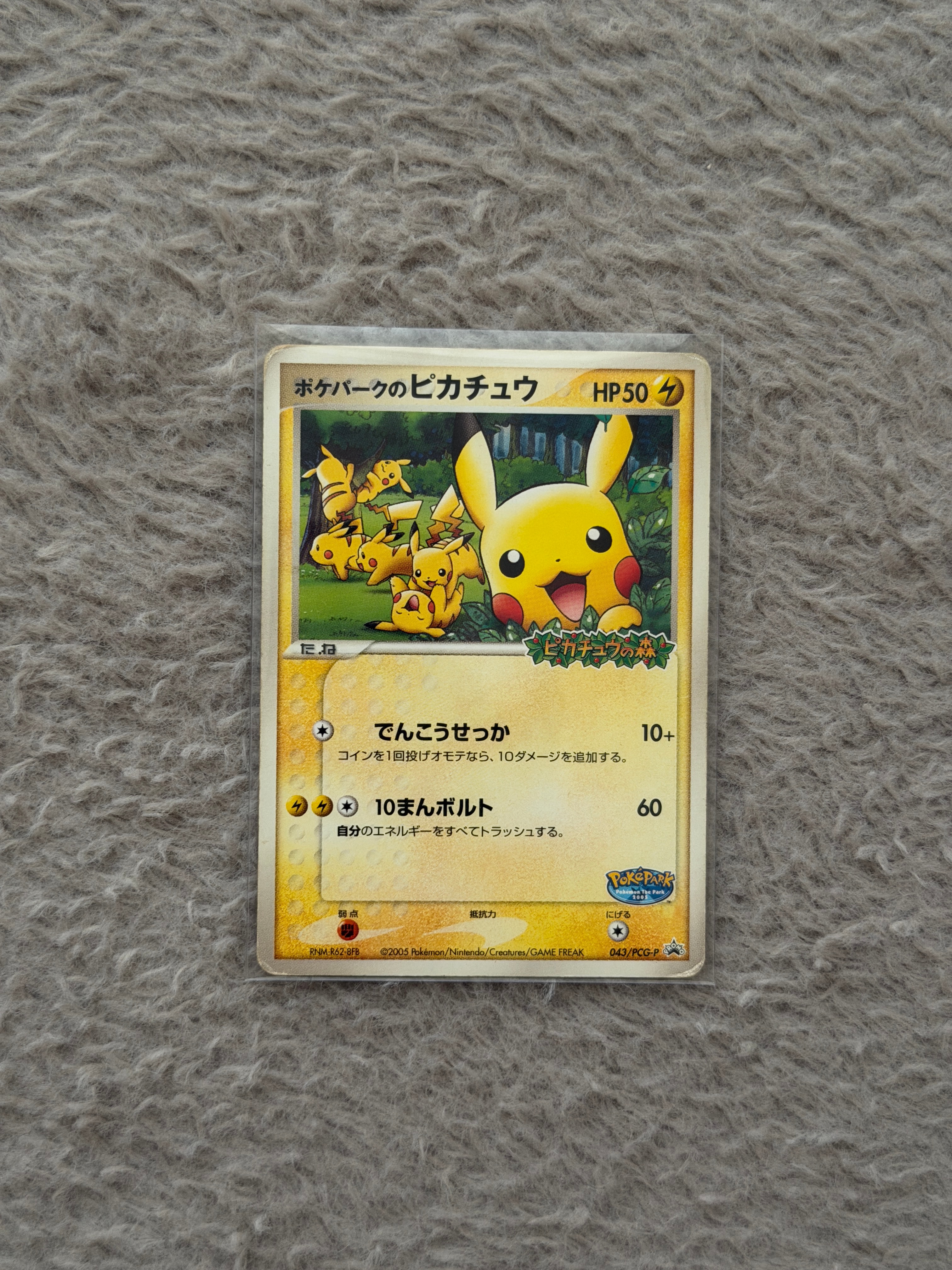 PSA10】ポケパークのピカチュウ P [PCG-P 043](プロモーションカード