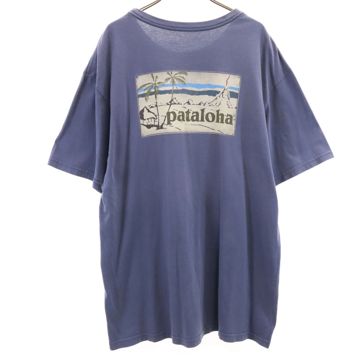 C (やや傷や汚れあり)】patagonia パタゴニア USA製 半袖 Tシャツ L