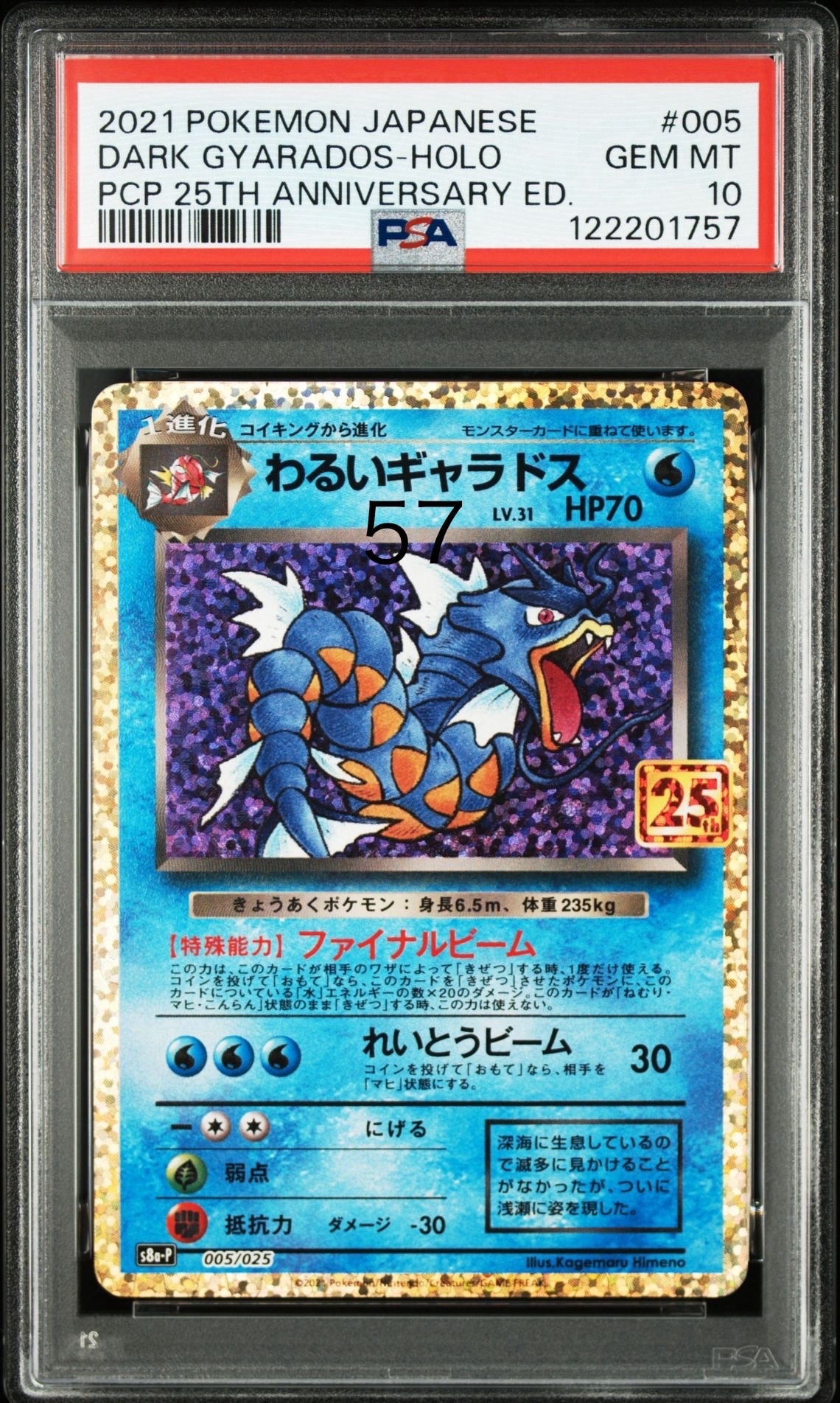 わるいギャラドス: プロモ[S8a-P 005/025](プロモカードパック 25th ANNIVERSARY edition)
