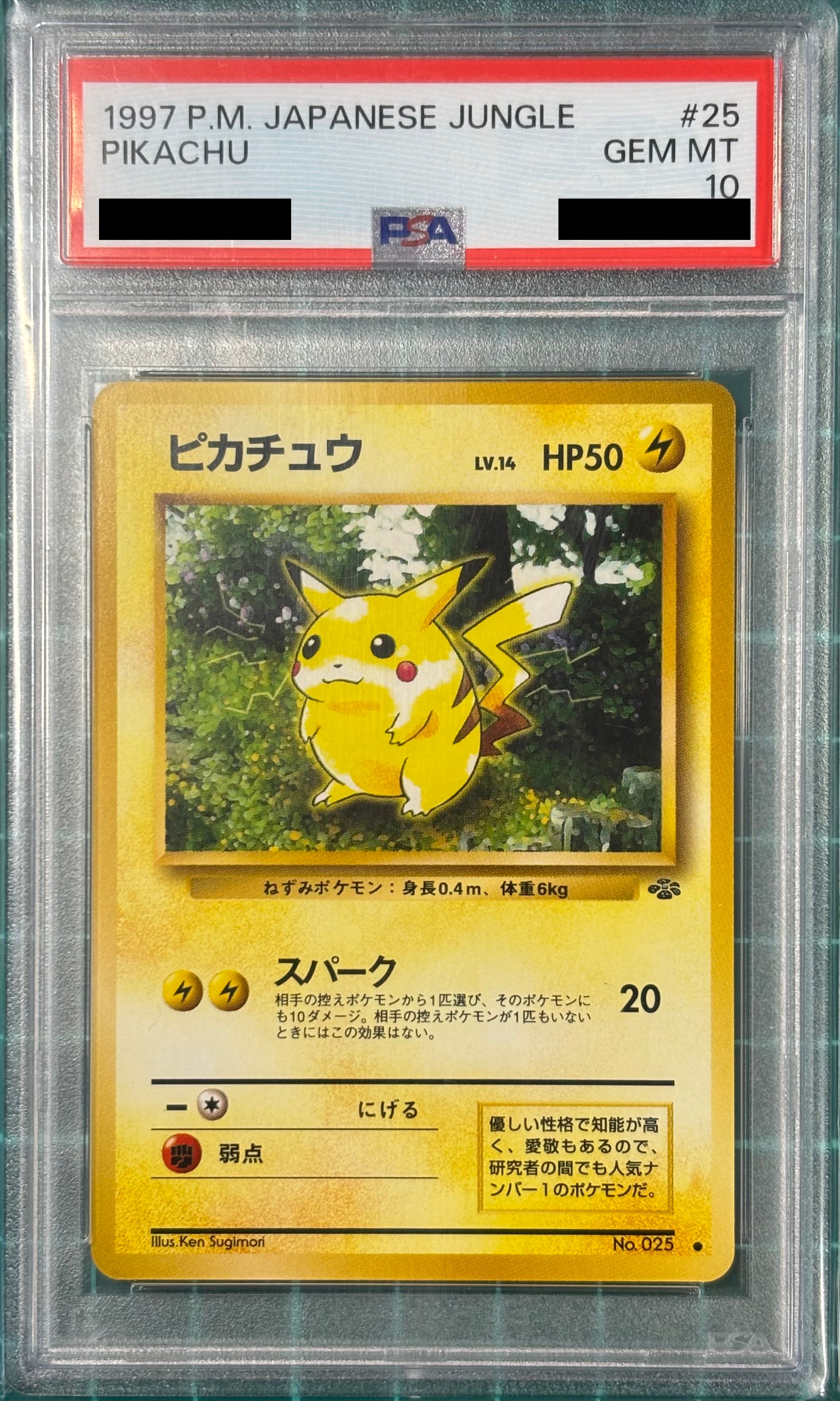 ピカチュウ ● : 旧裏 [PMCG2 No.025](拡張パック「ポケモンジャングル」)