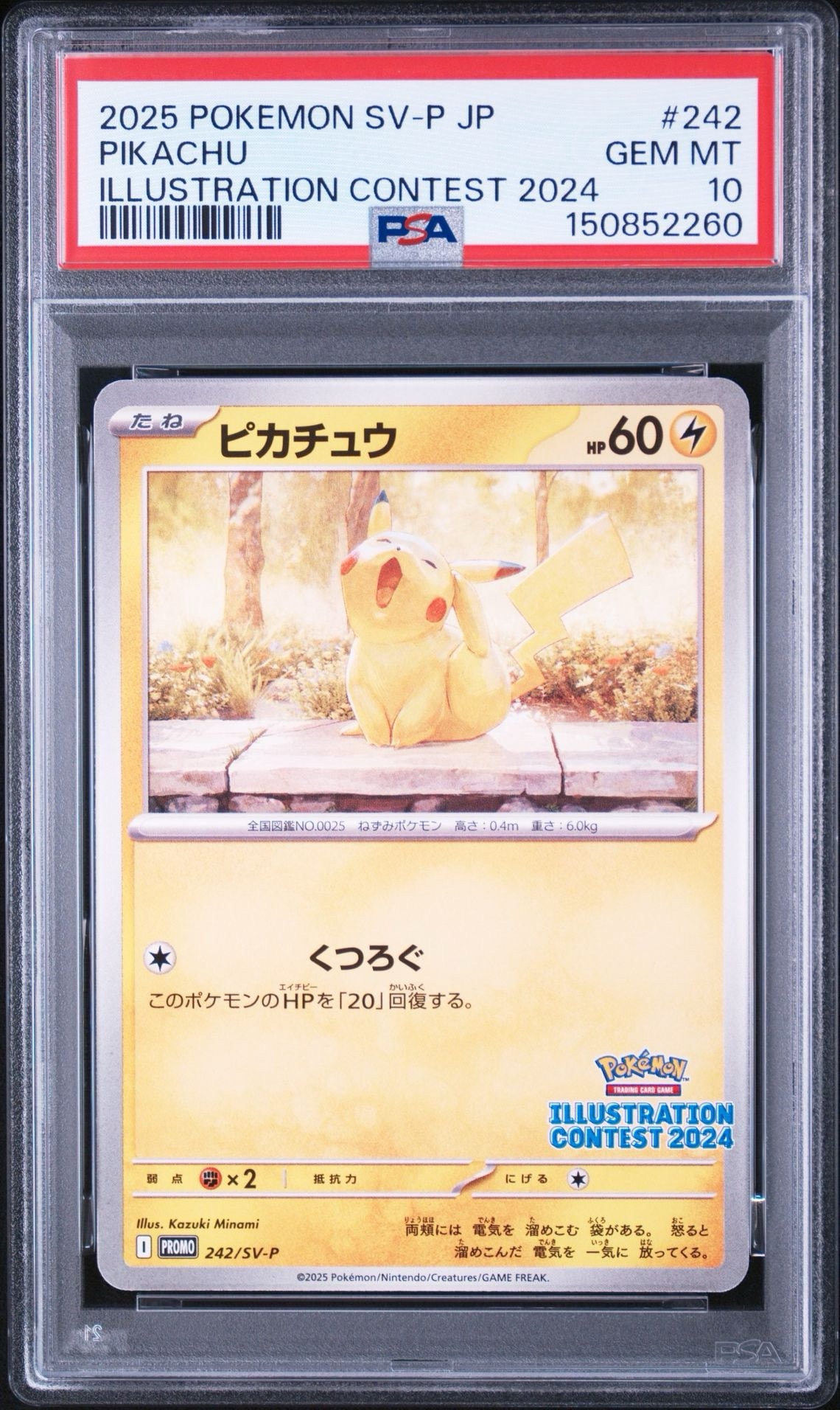 ピカチュウ [SV-P 242](プロモカードパック「イラストレーション